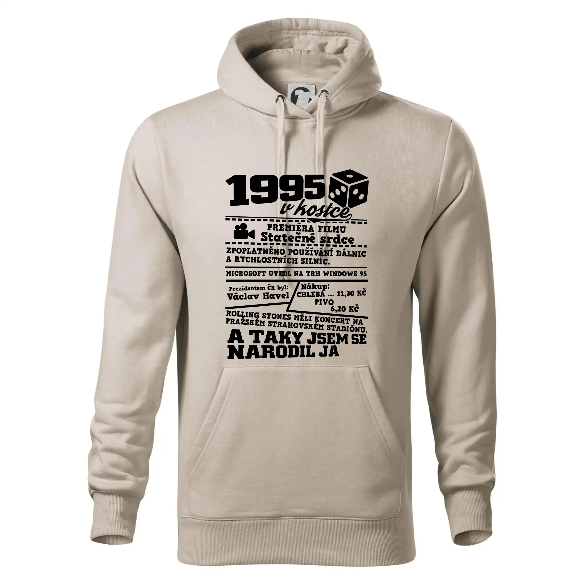 1995 v kostce