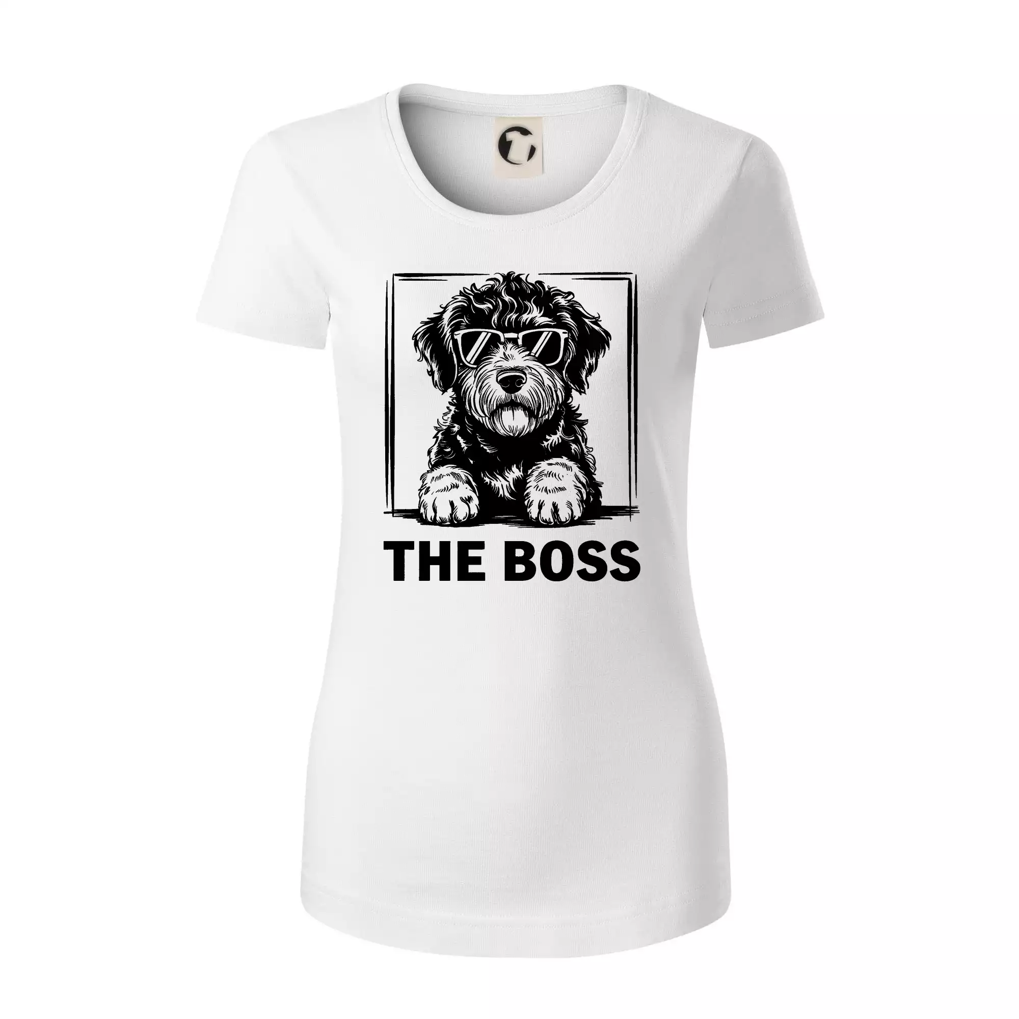 Lagotto romagnolo the boss