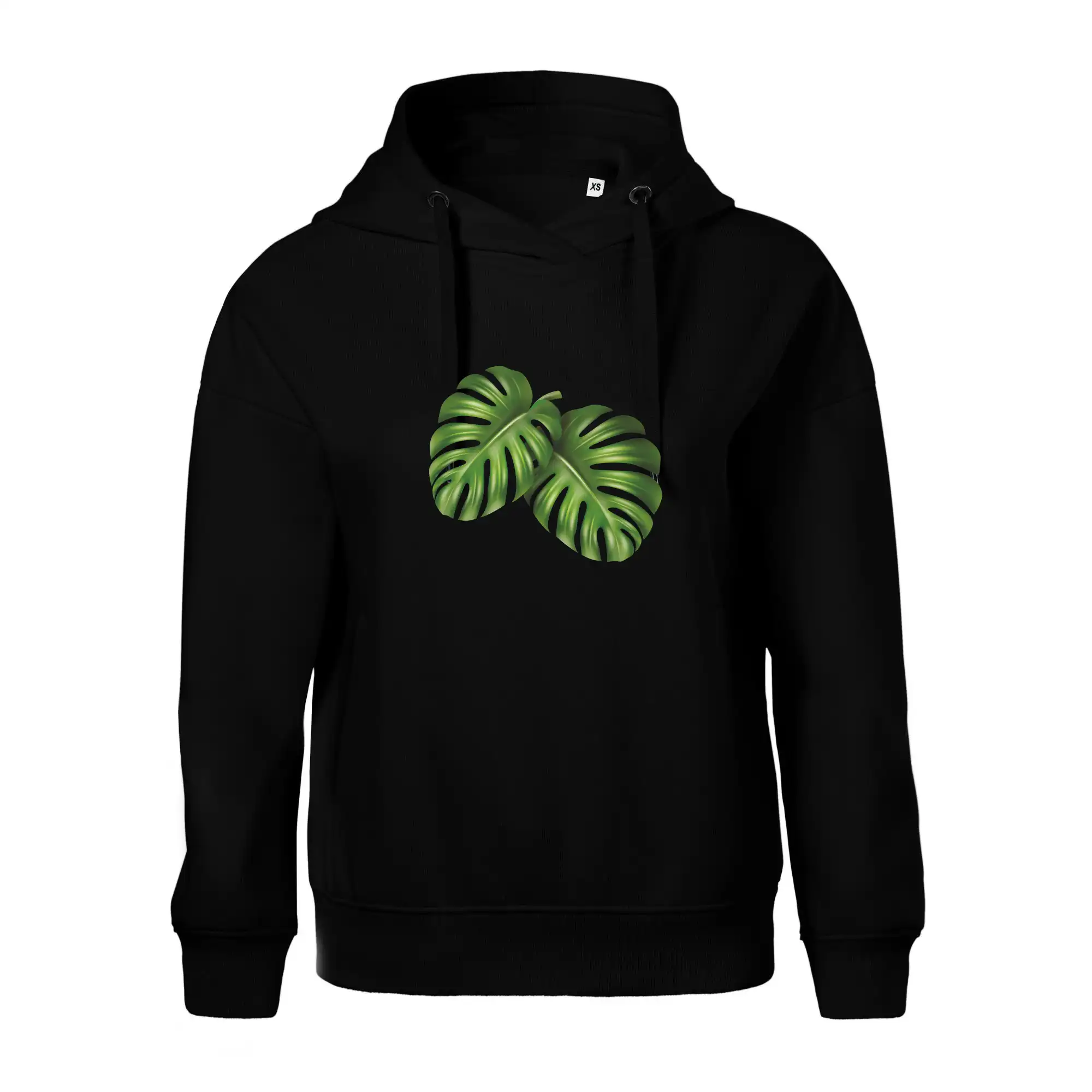 Monstera - dva listy