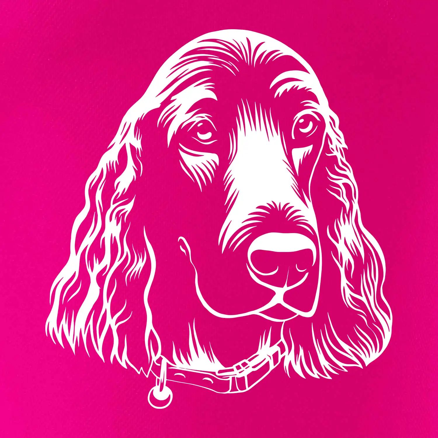 Kokršpaněl - hlava kreslená