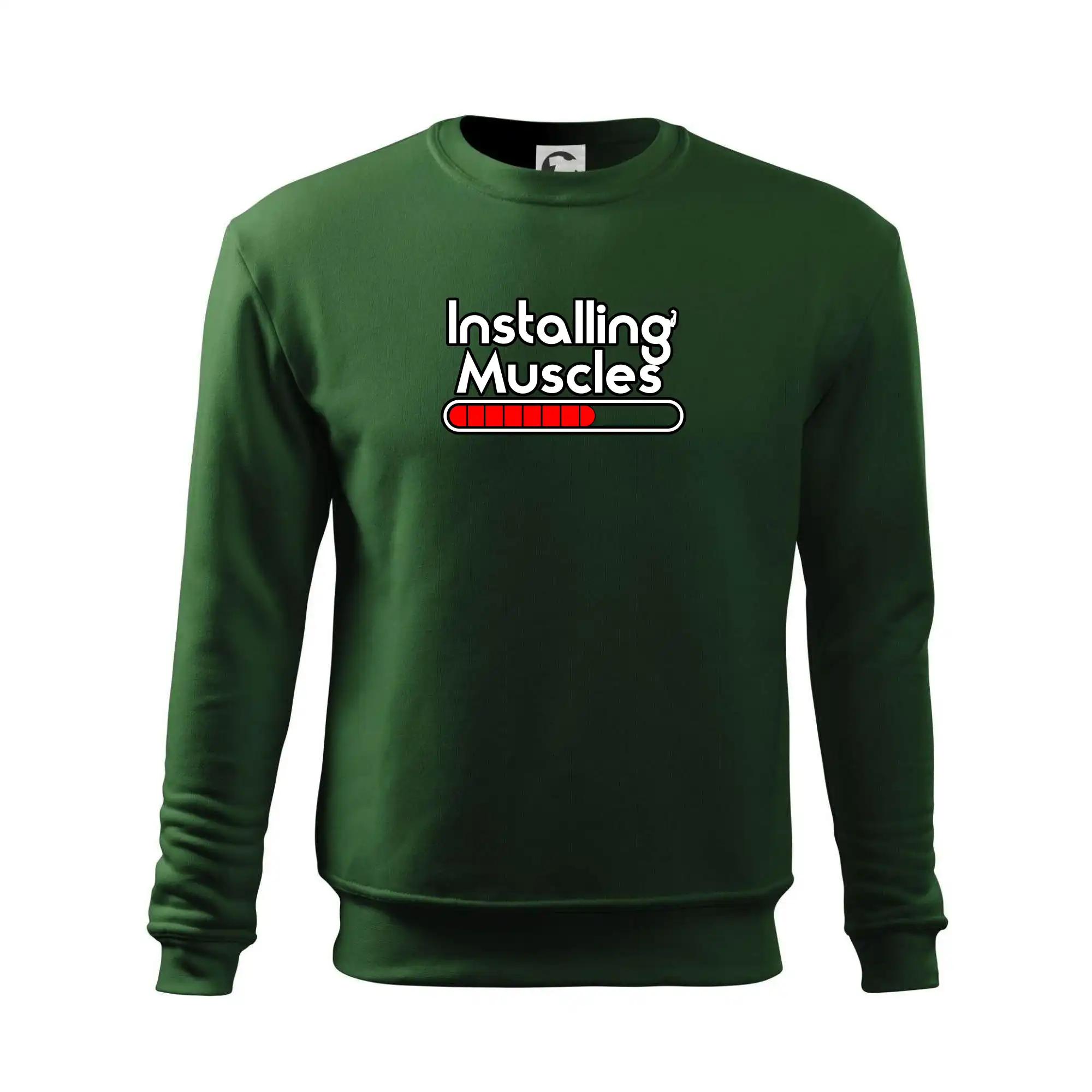 Installing Muscles