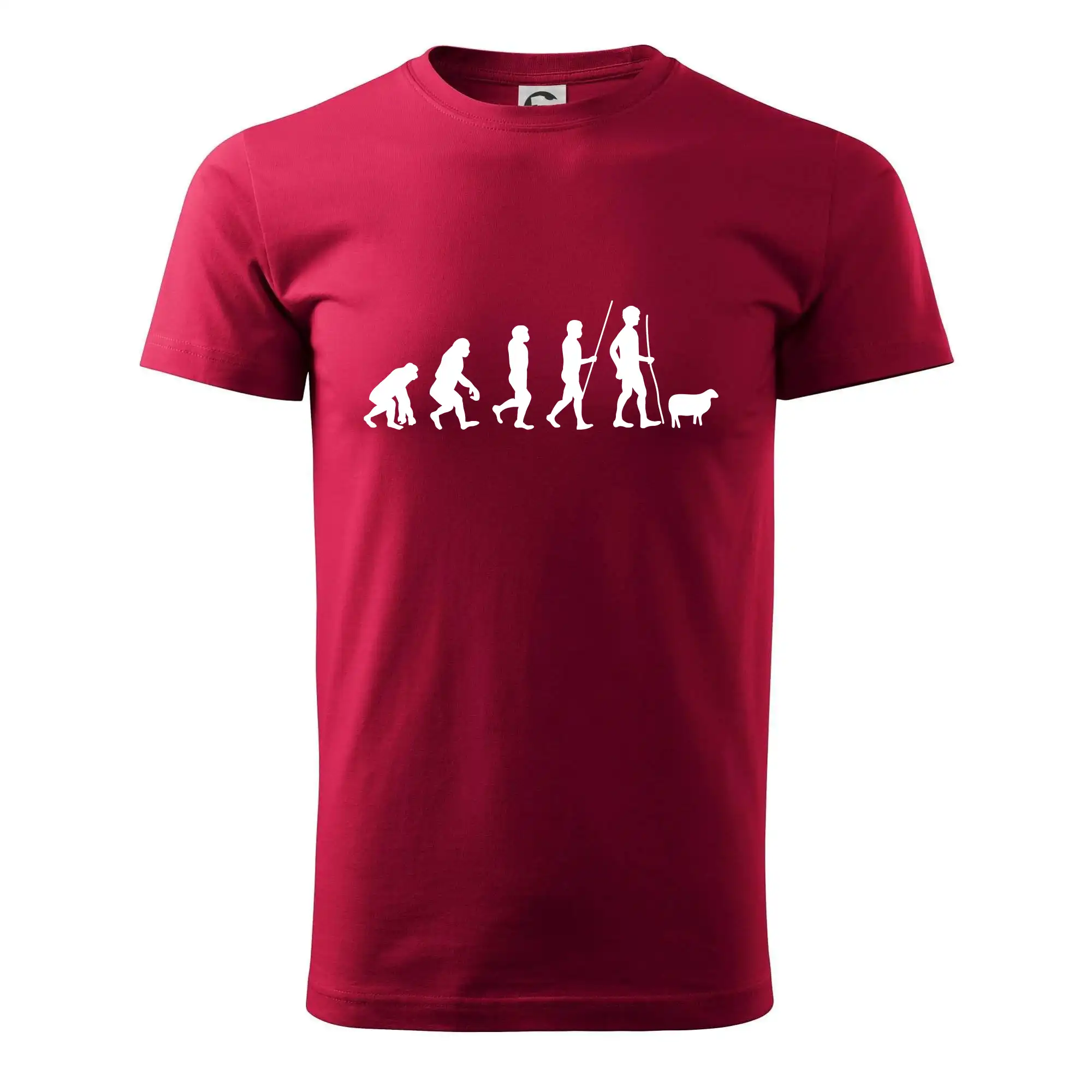 Evoluce pastevec ovcí