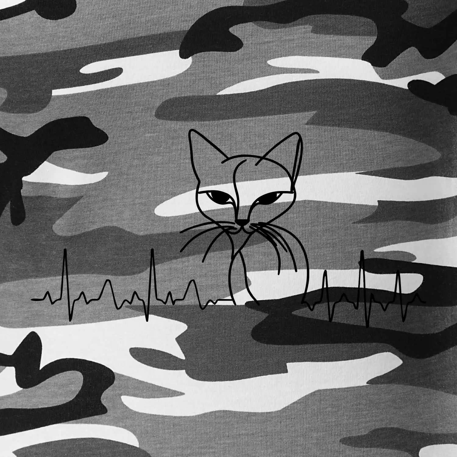 EKG křivka kočka