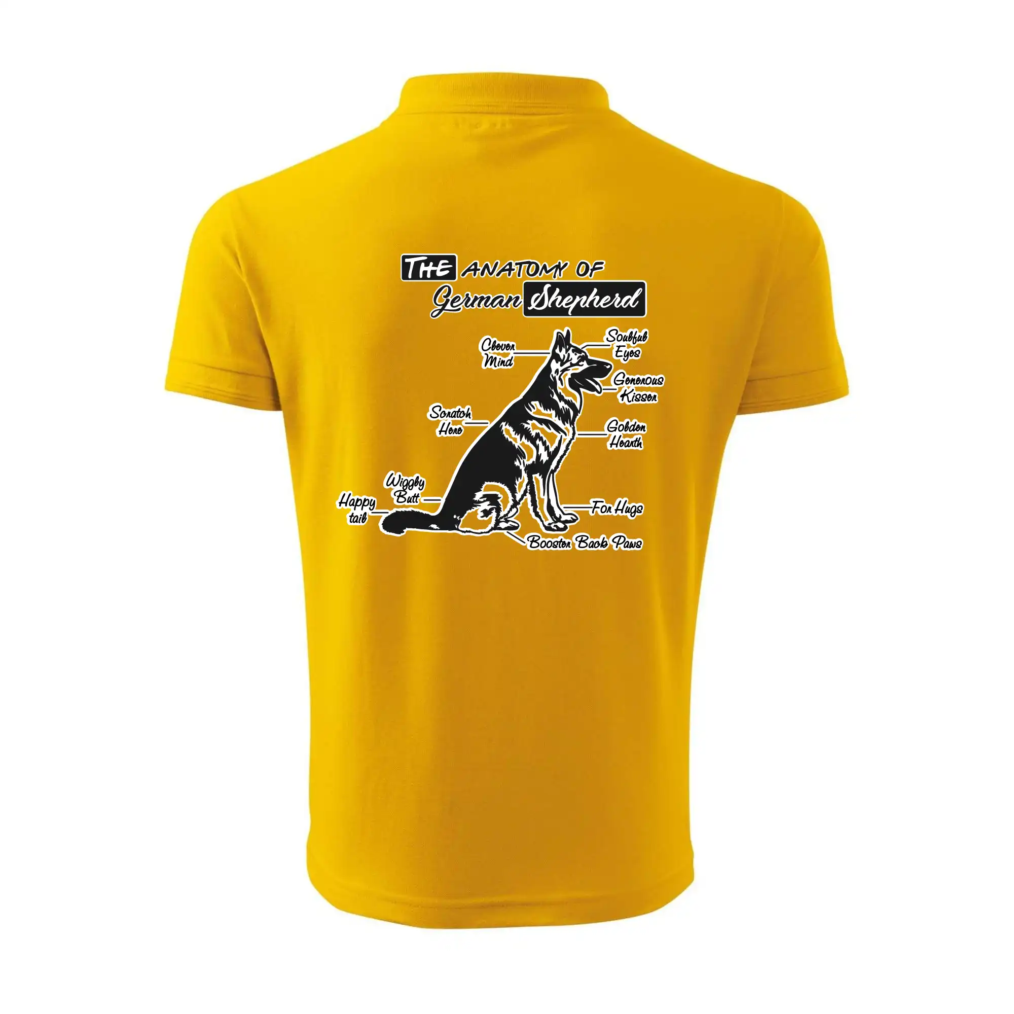 Německý ovčák - Anatomie