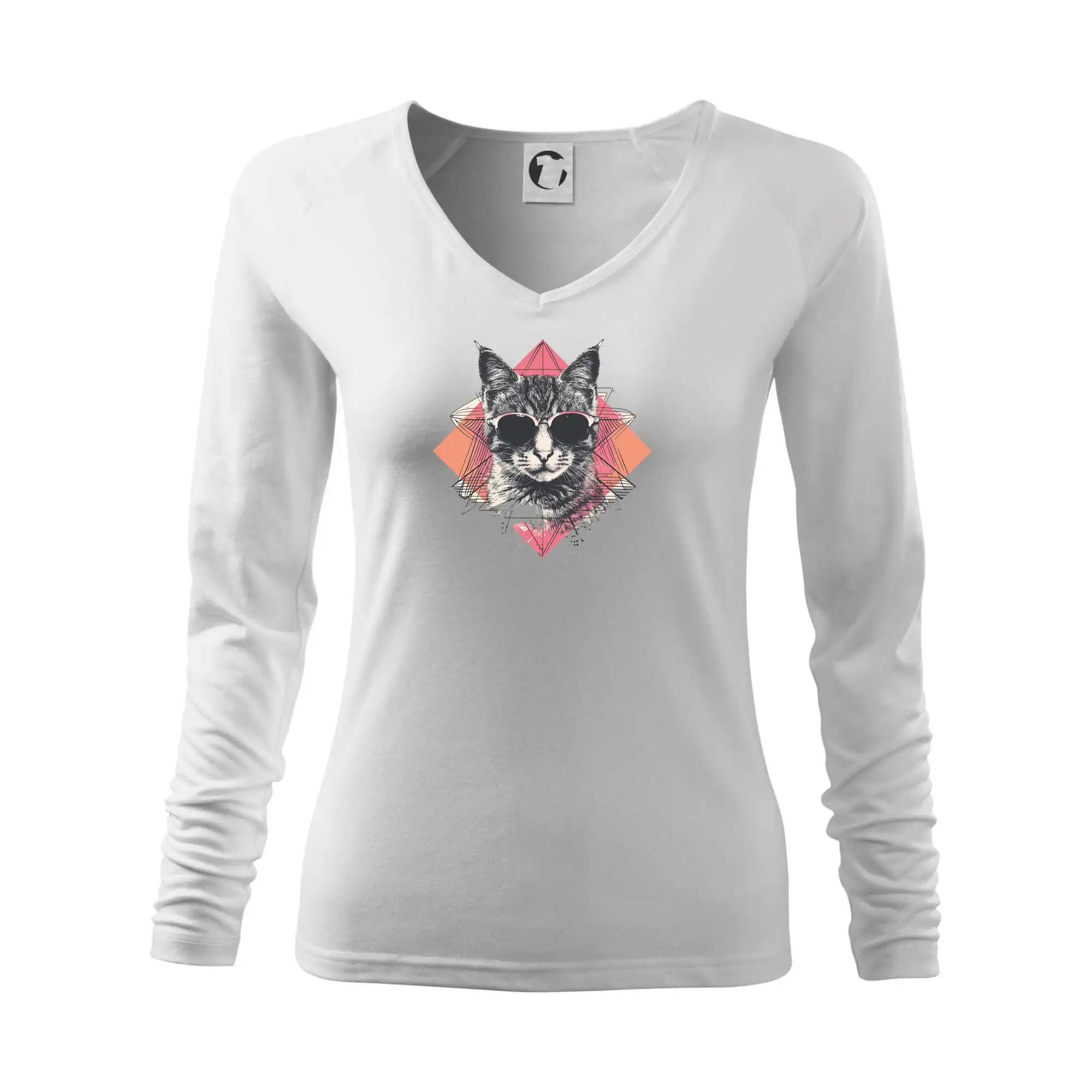 Kočka umělkyně s brýlemi