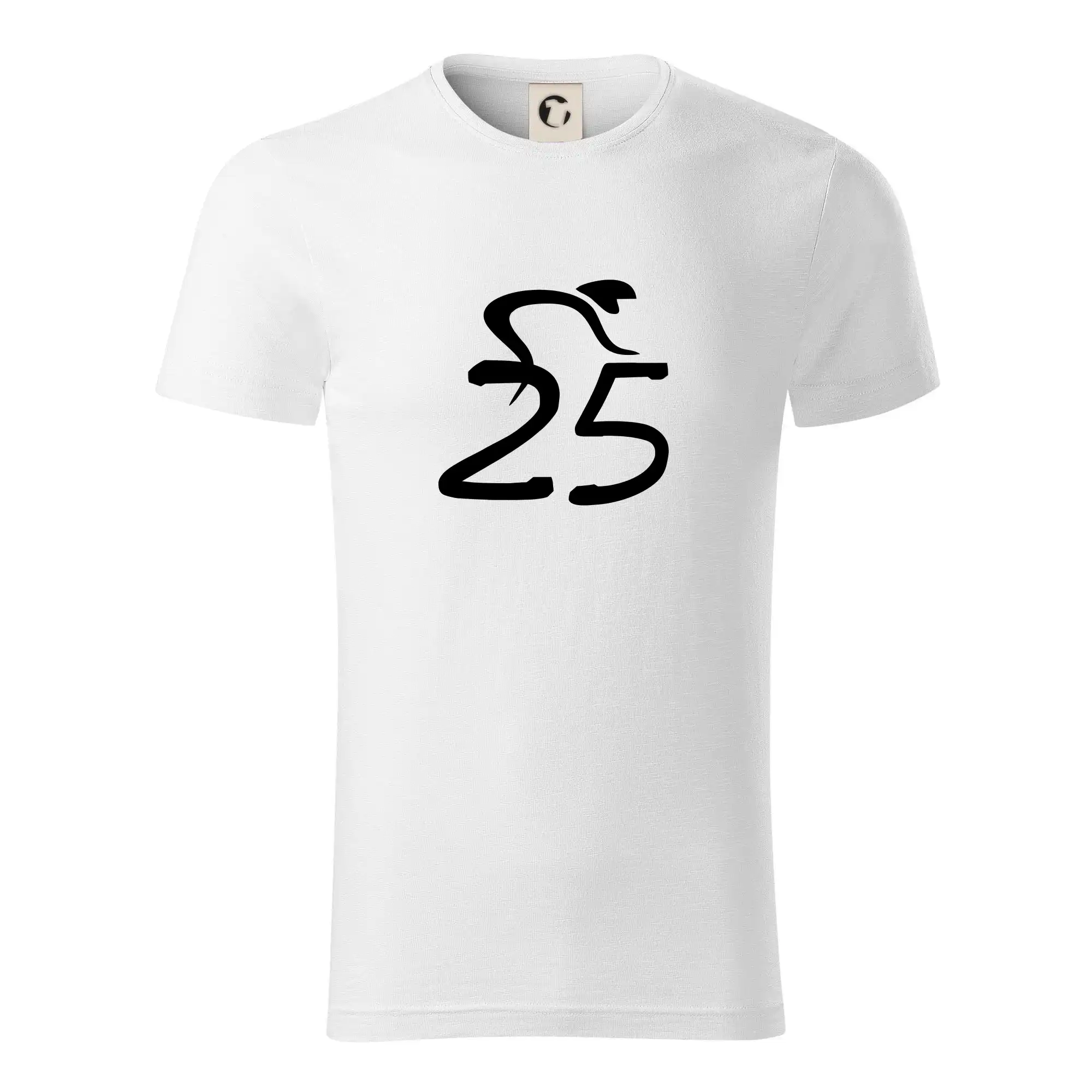 Cyklista slaví pětadvacítku (25)