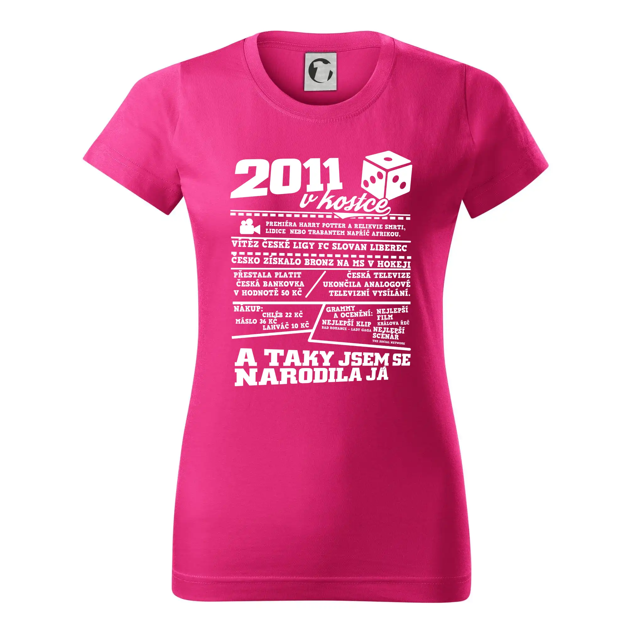 2011 v kostce