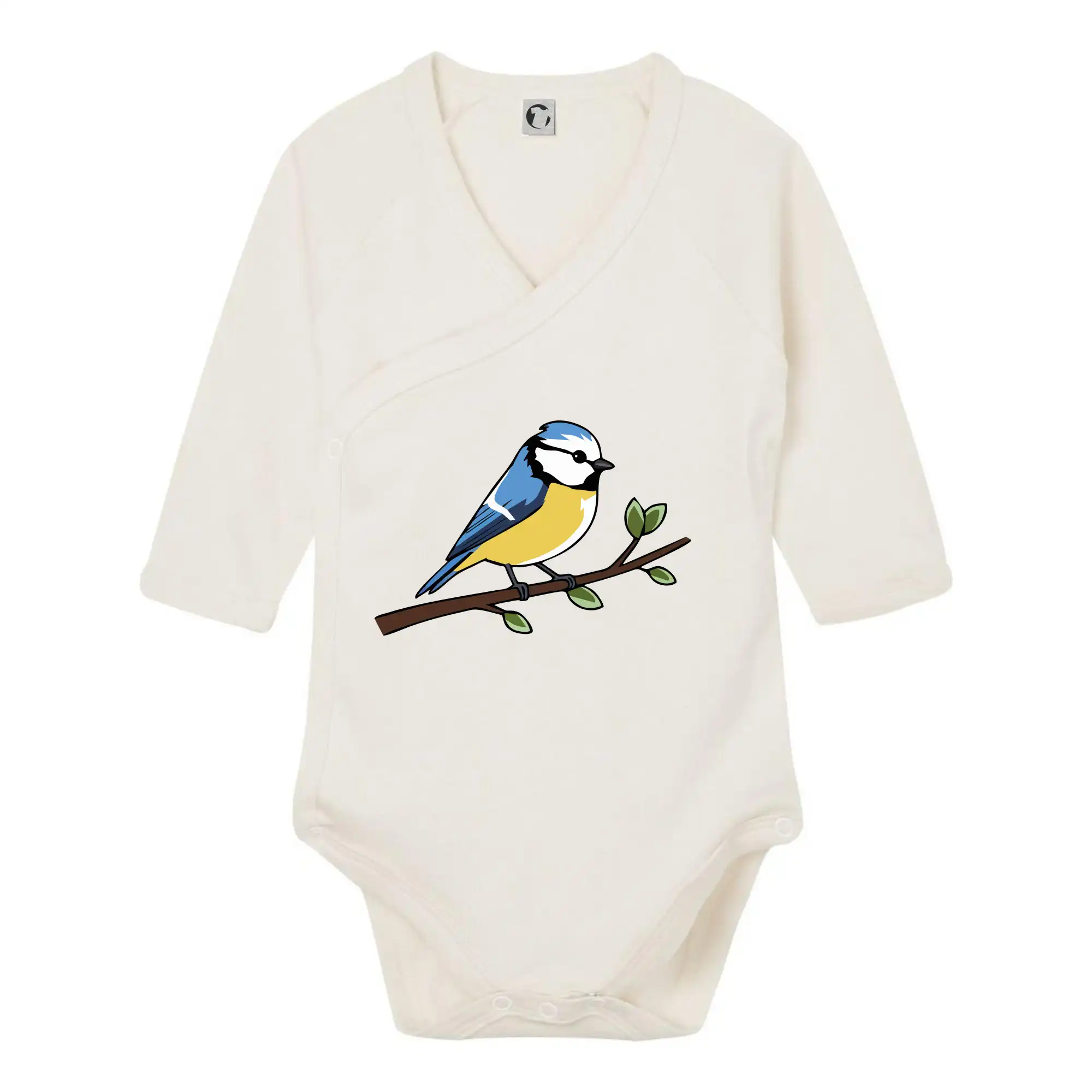 Sýkorka modřinka na větvi