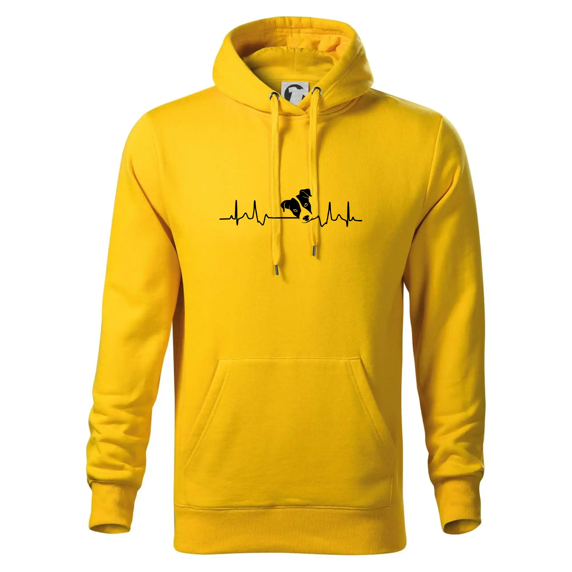 Jack Russell Terriér  - hlava