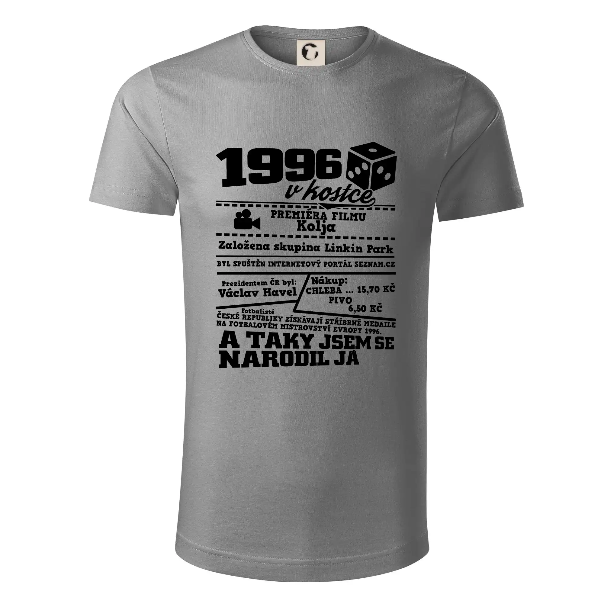 1996 v kostce