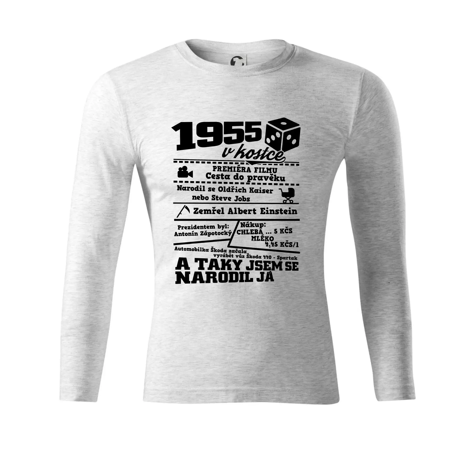 1955 v kostce