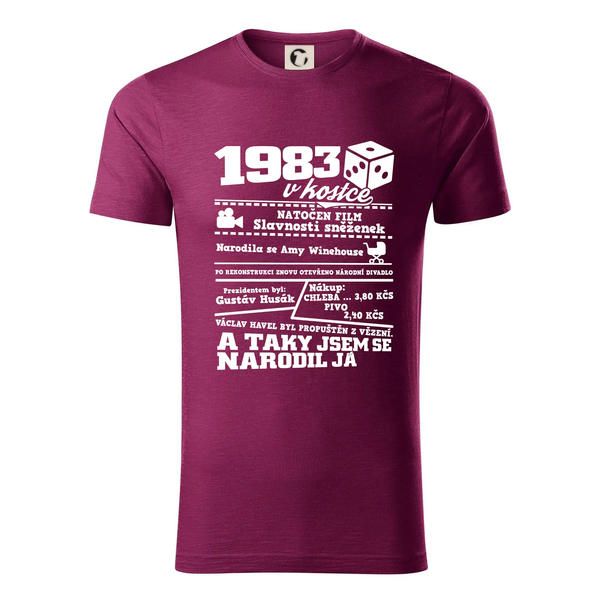 1983 v kostce