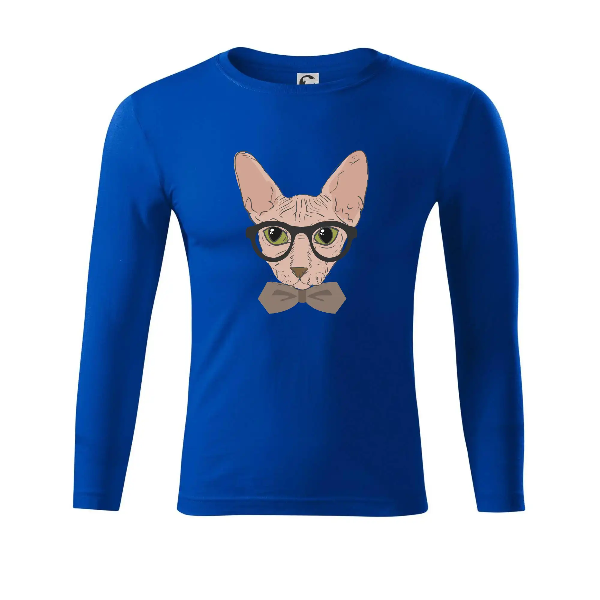 Hipster sphynx