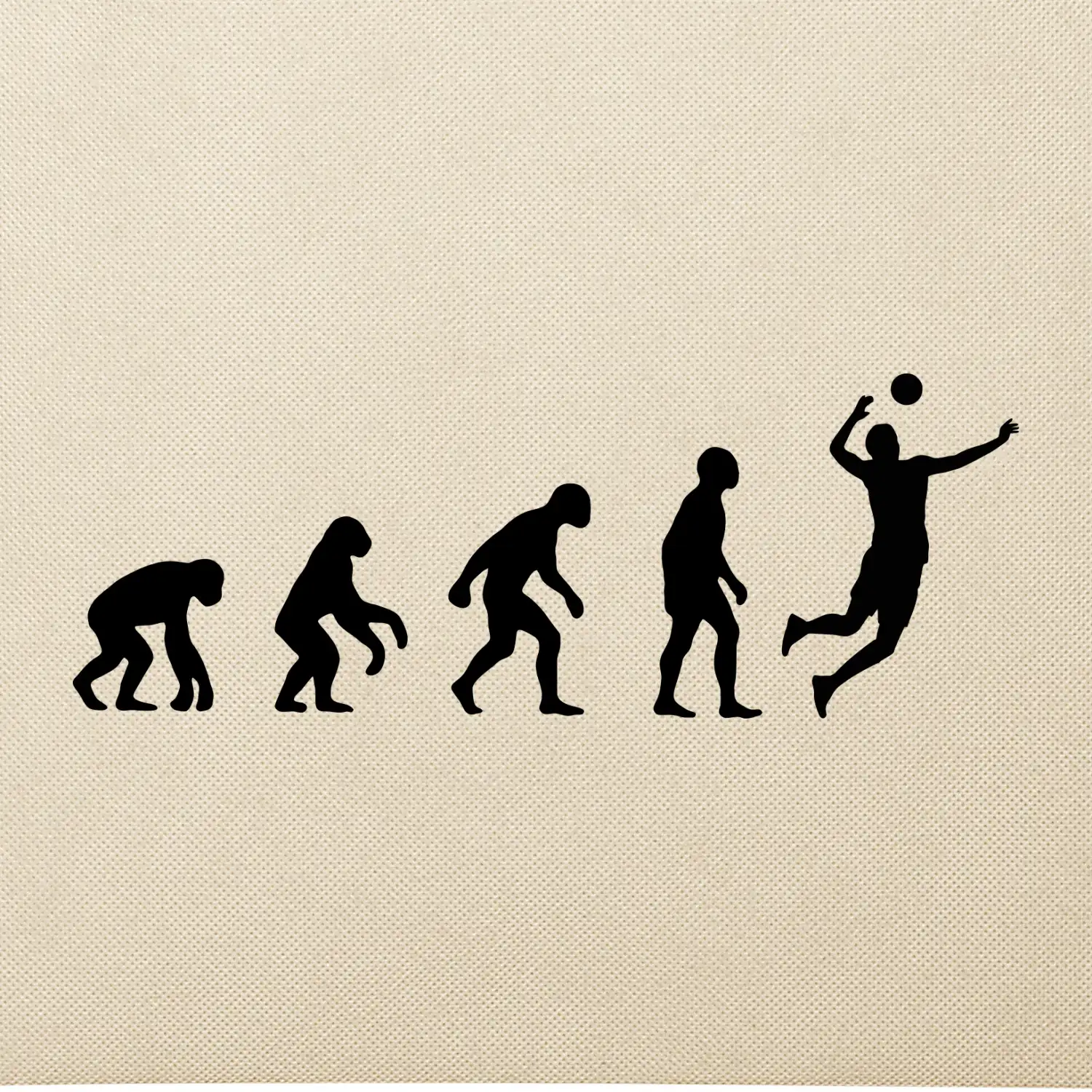Evoluce volejbal smeč