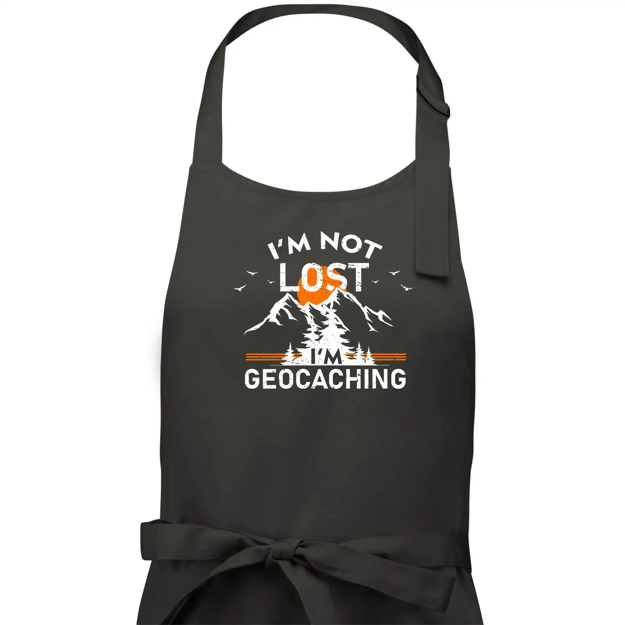 Im not lost - geocaching