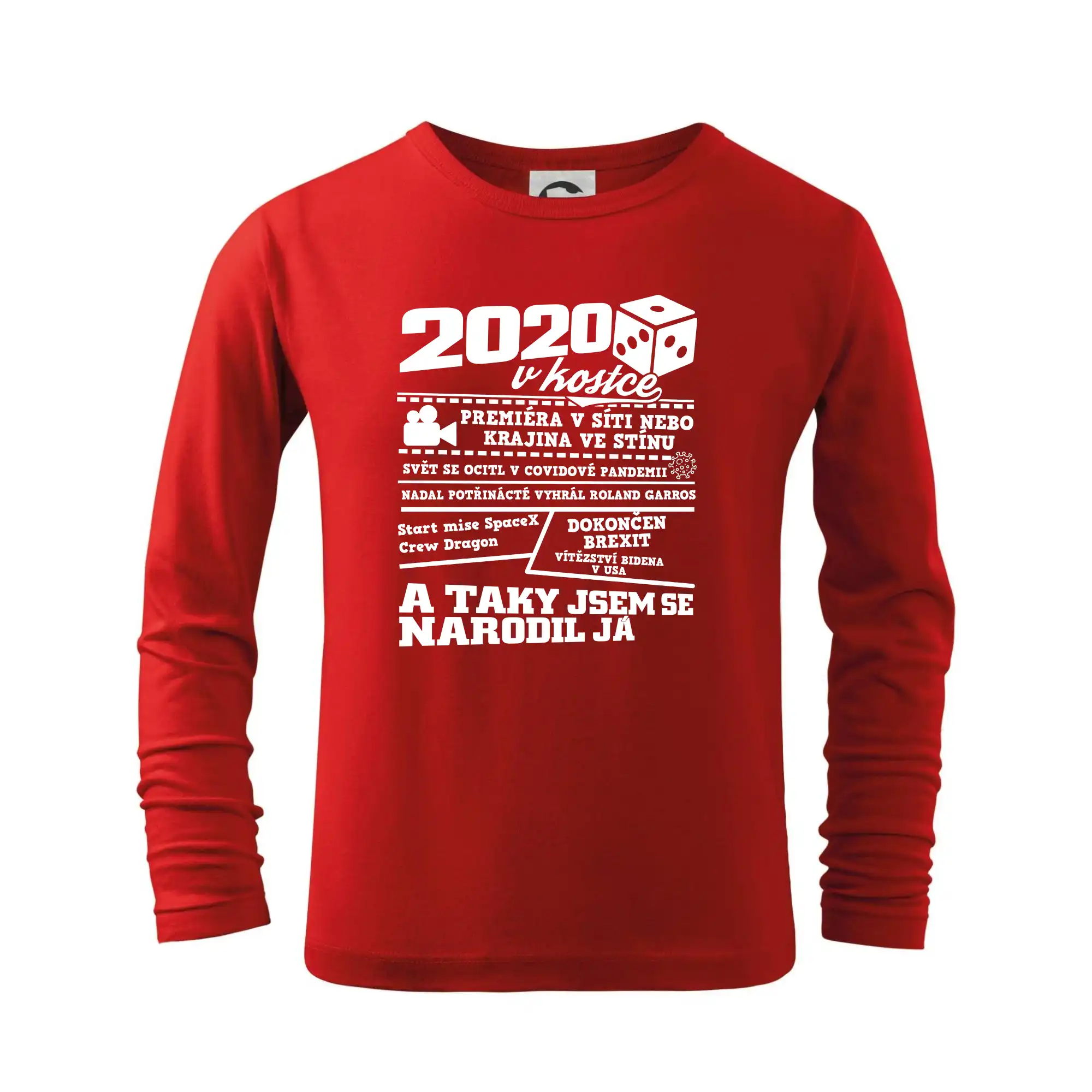 2020 v kostce
