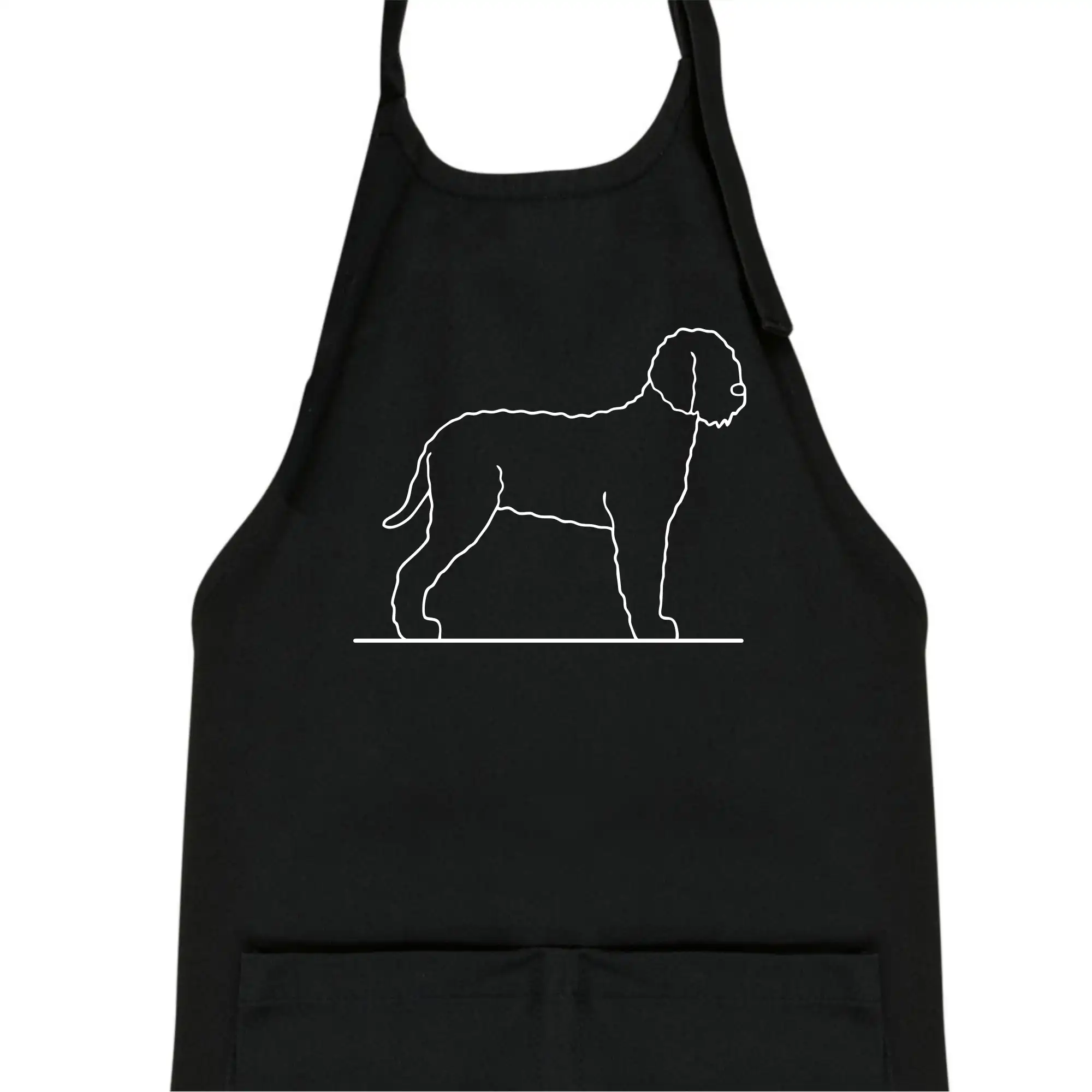 Lagotto romagnolo stojící