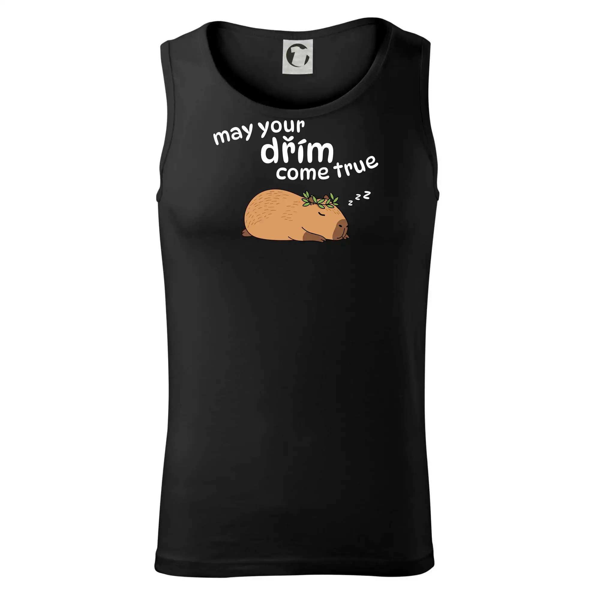 May your dřím come true