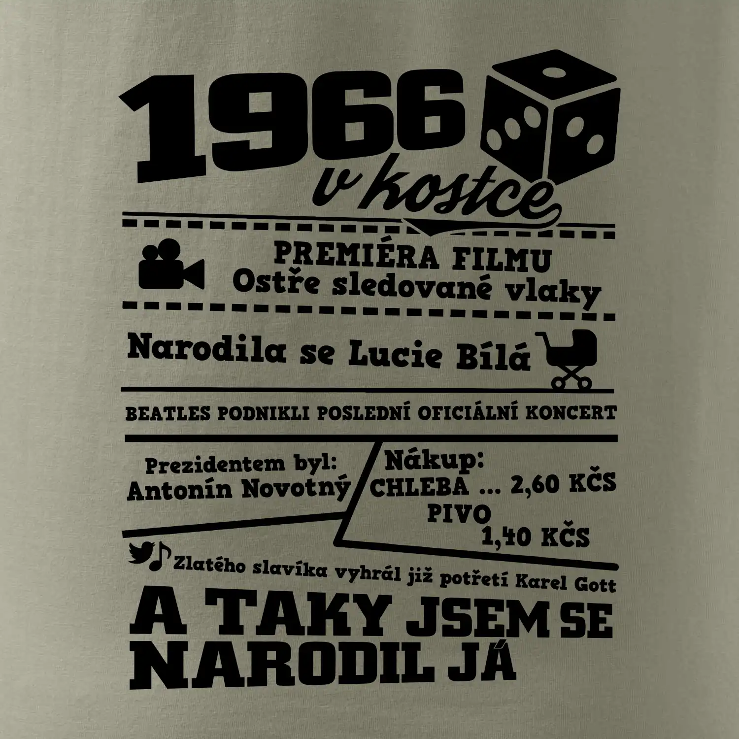 1966 v kostce