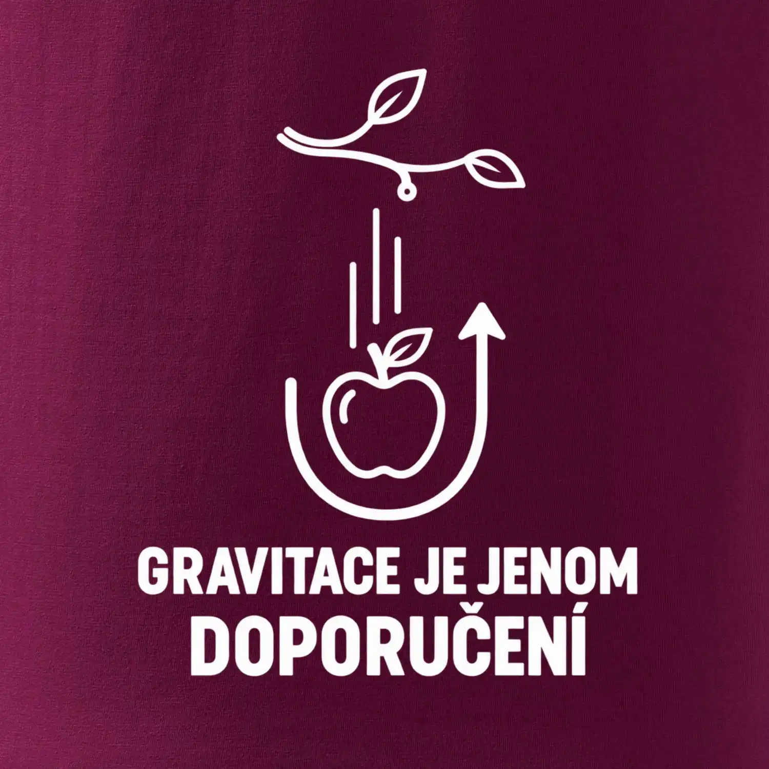 Gravitace je jenom doporučení
