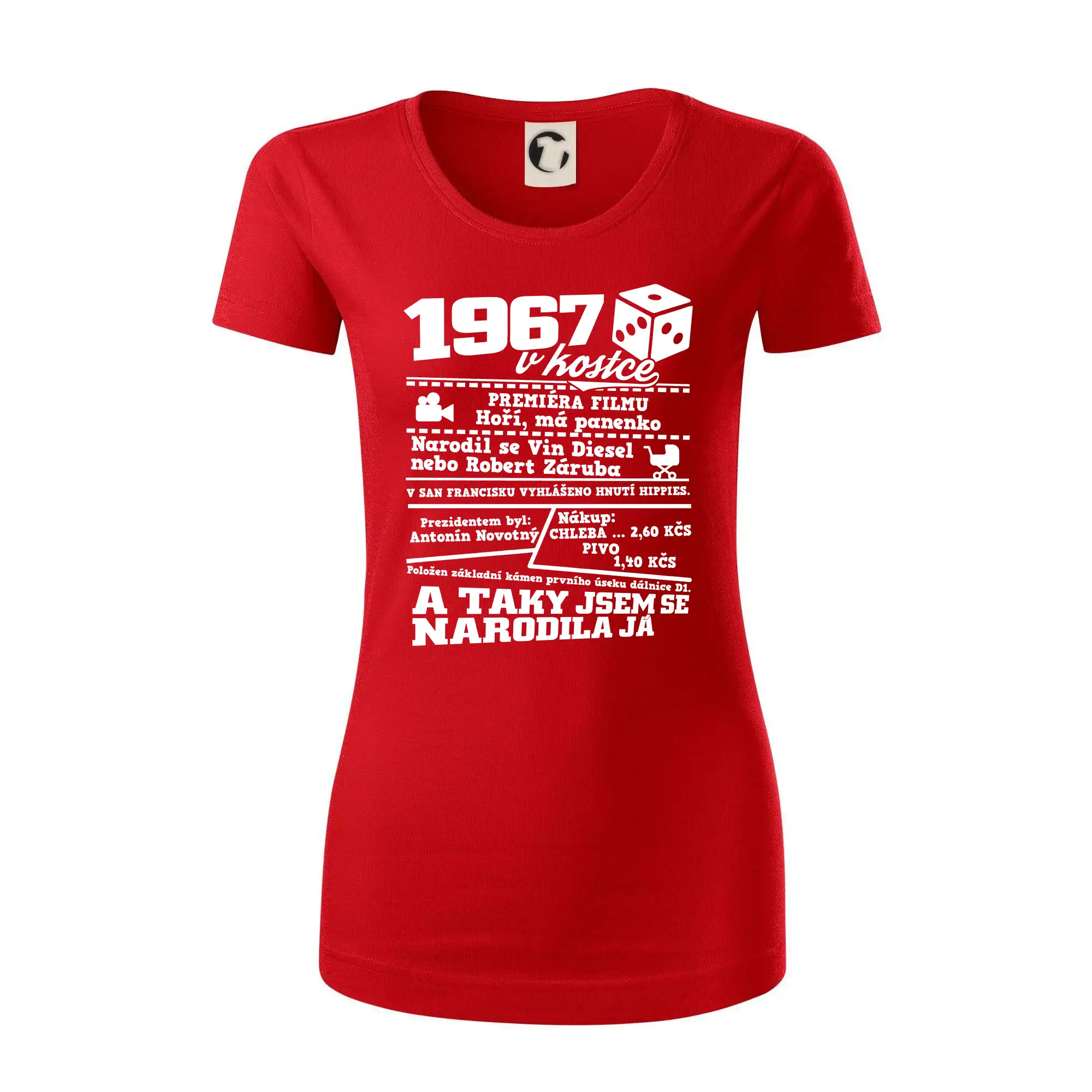1967 v kostce