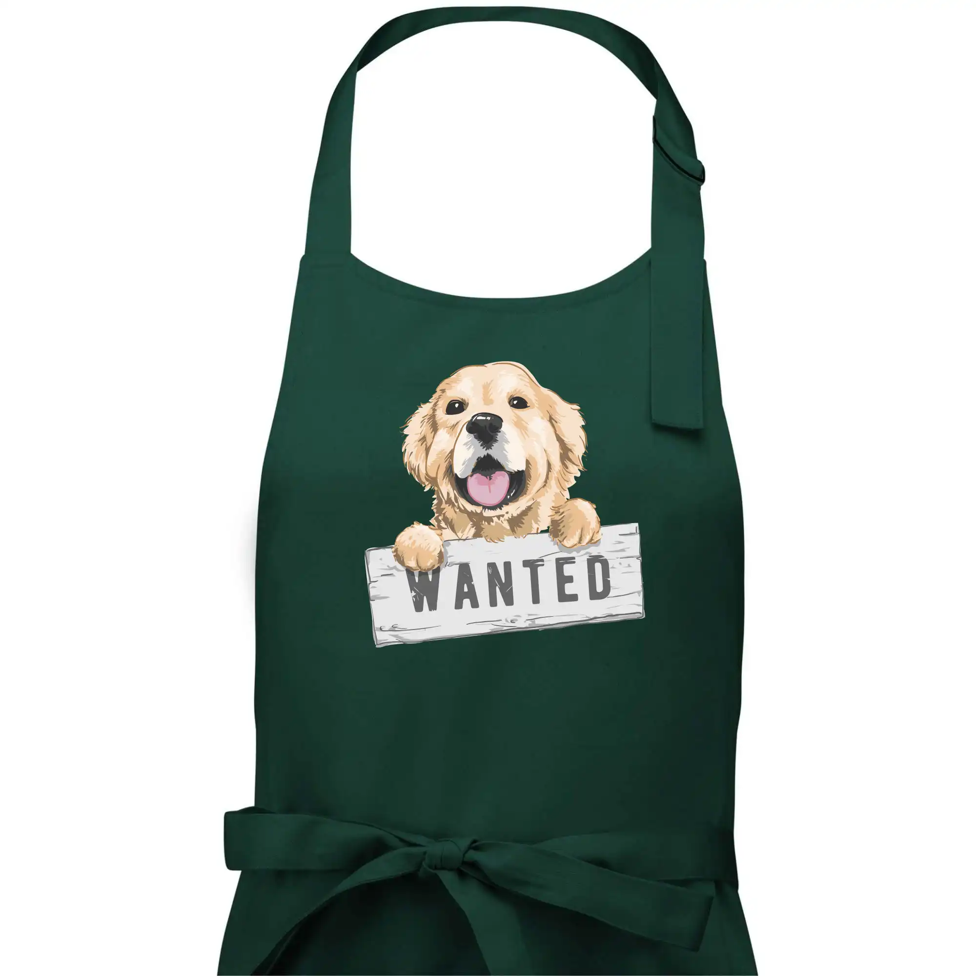 Zlatý retriever - štěně wanted