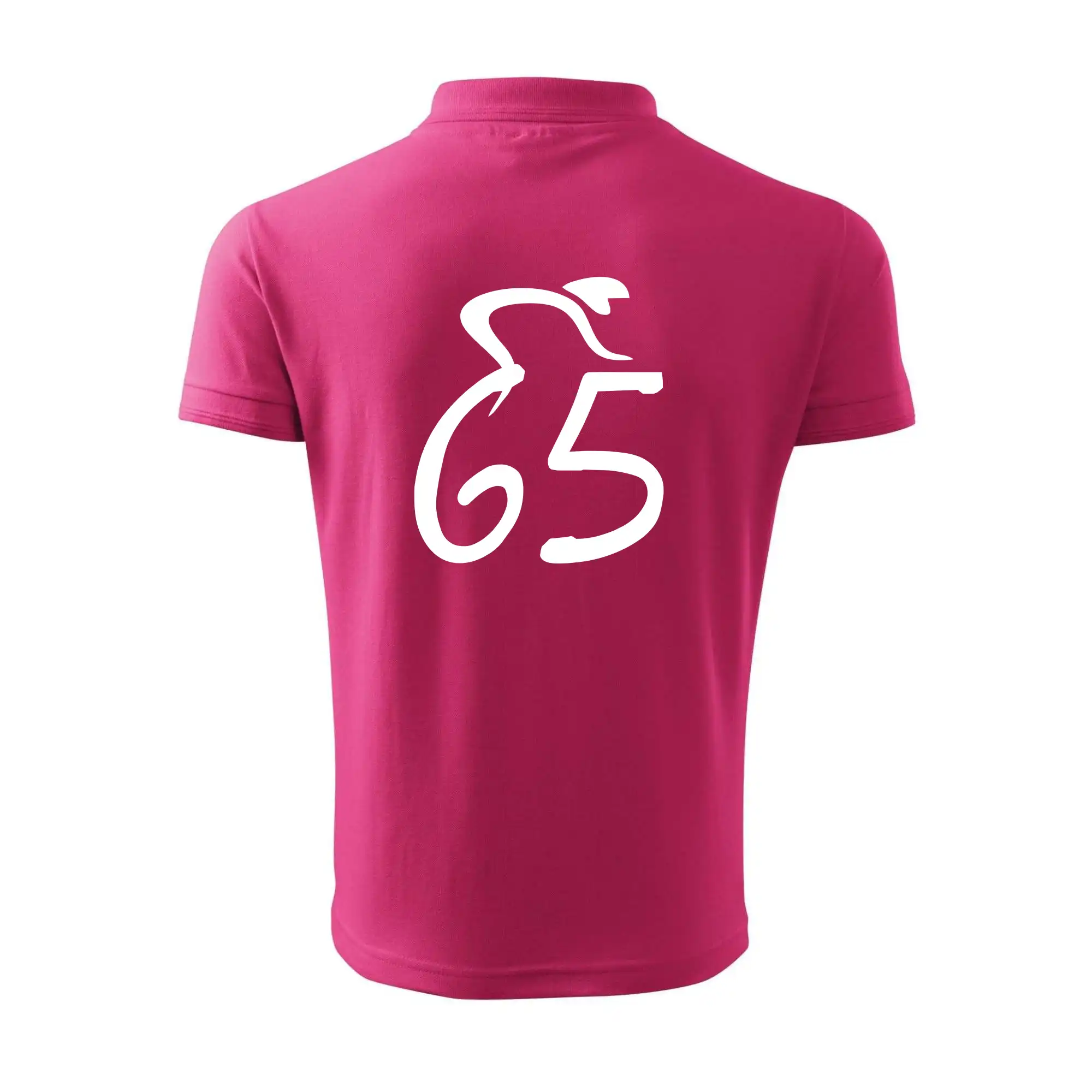 Cyklista slaví pětašedesátku (65)