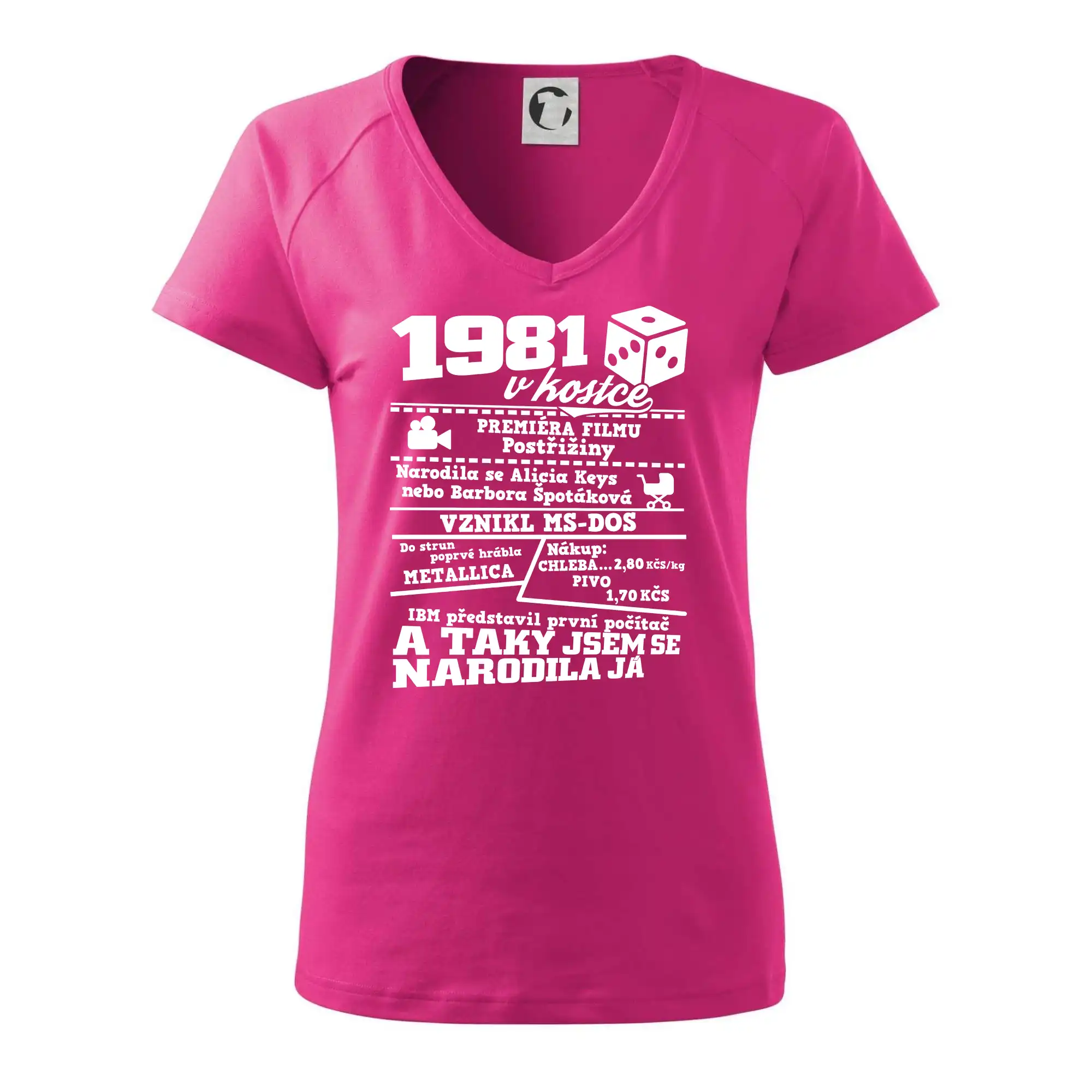 1981 v kostce