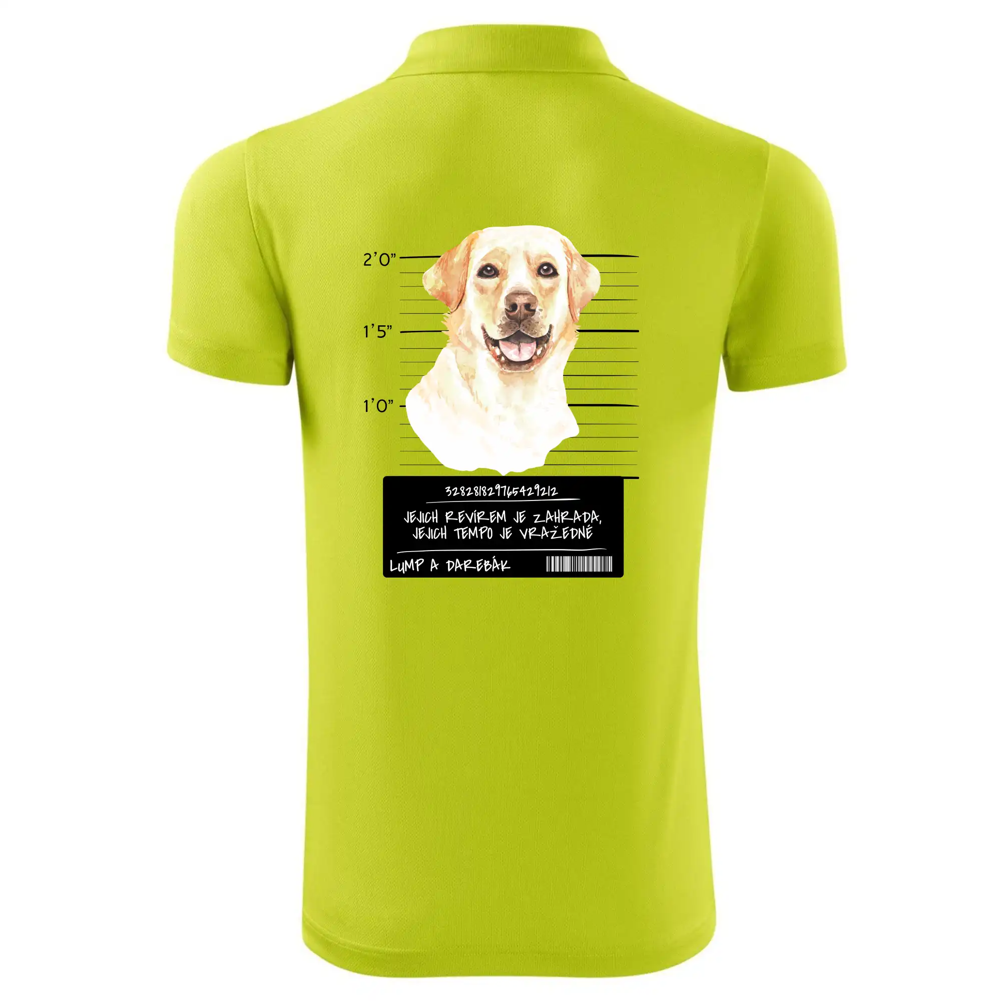 Lump a darebák labrador