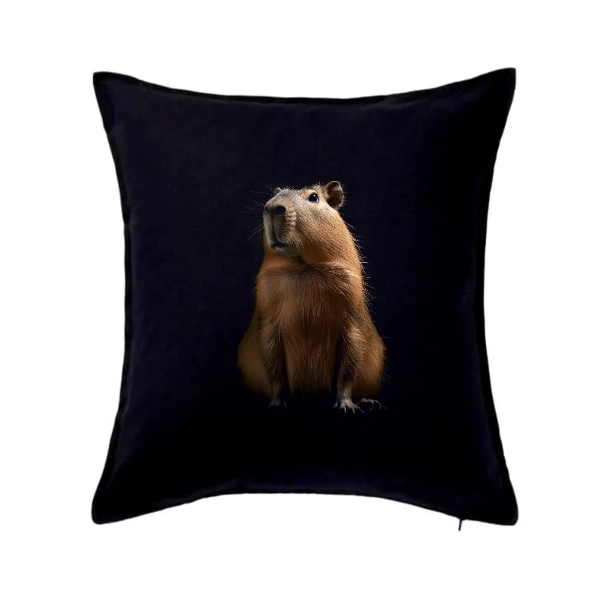 Kapybara ze předu černá fotka