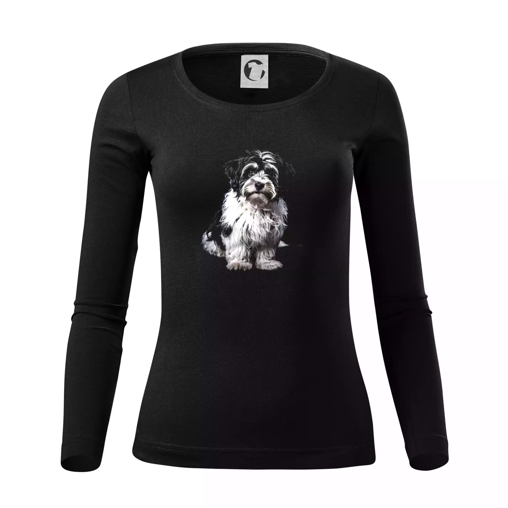 Havanský psík černá fotka