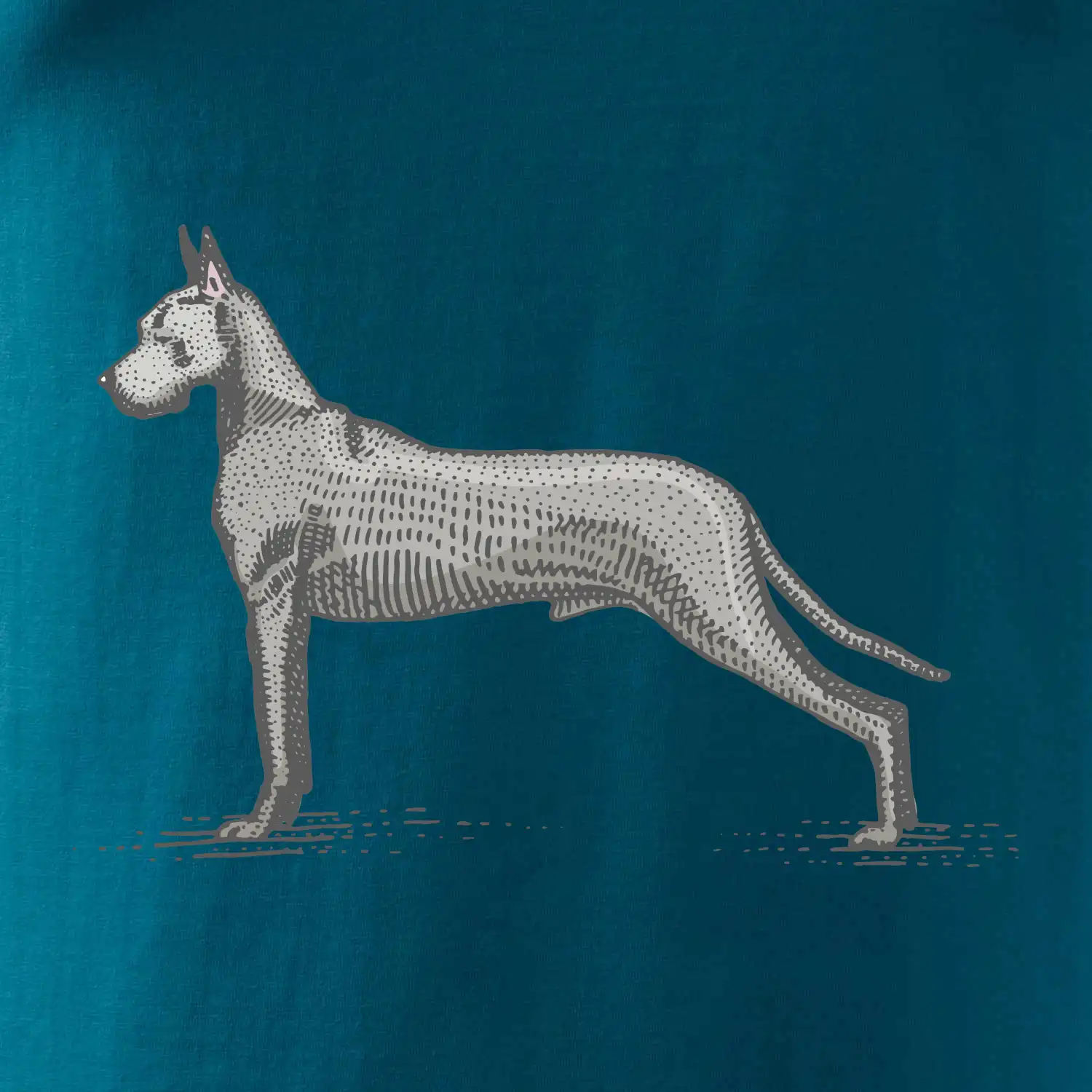 Vintage Great dane