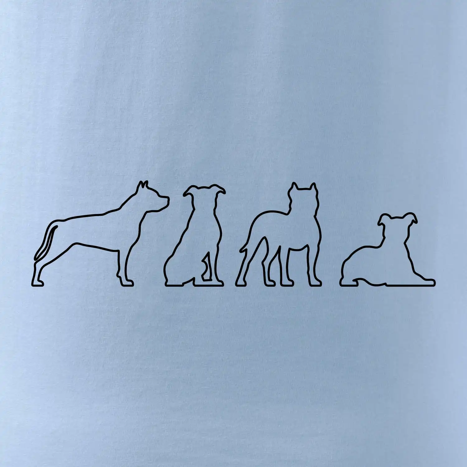 Americký stafordširský teriér v různých pozicích