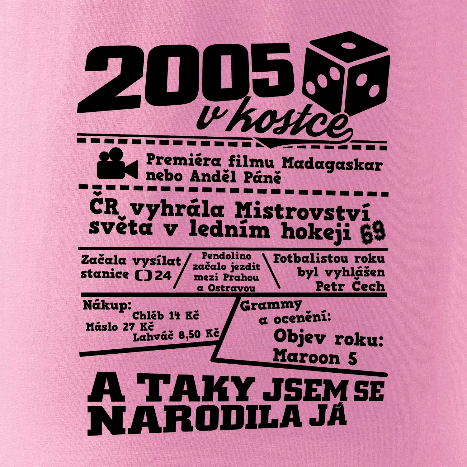 2005 v kostce