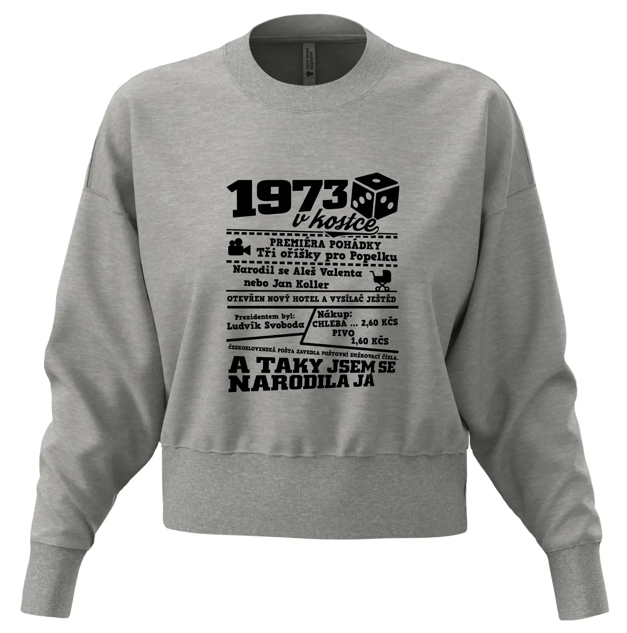 1973 v kostce