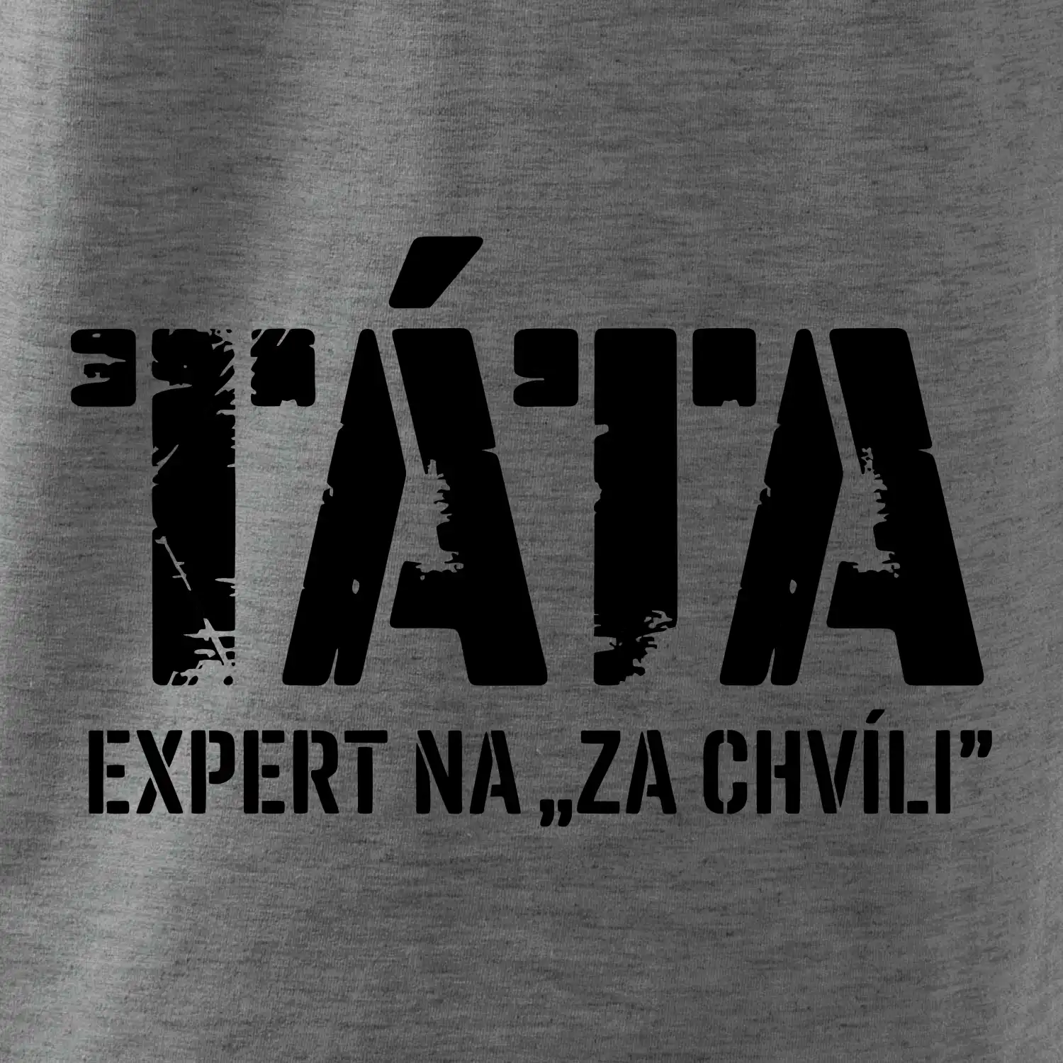 Táta - expert na za chvíli