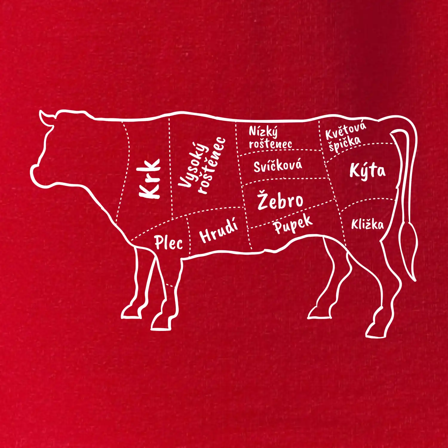 Kráva nákres s názvy
