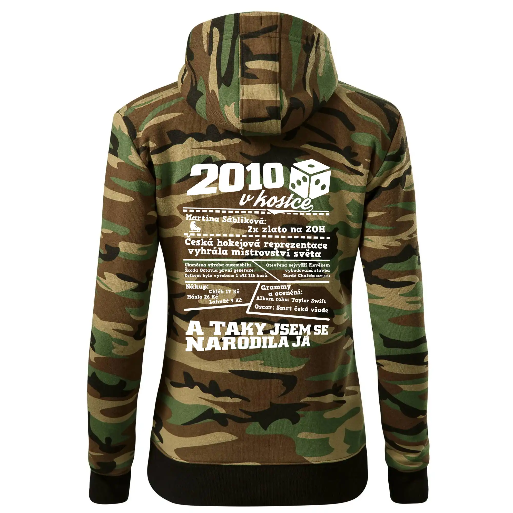2010 v kostce