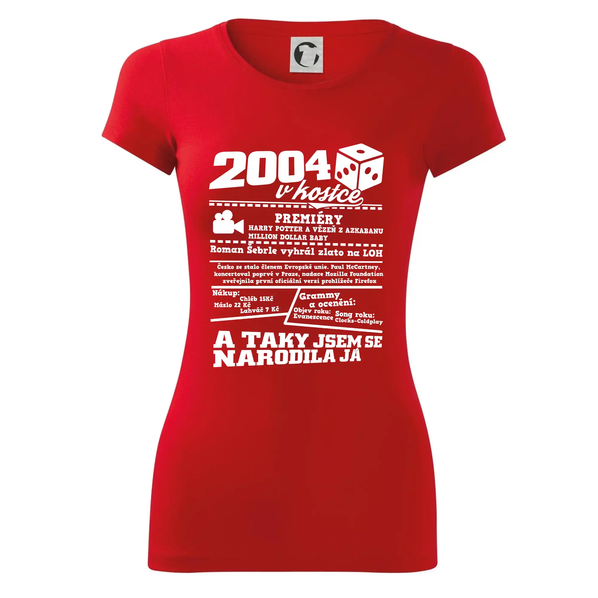 2004 v kostce