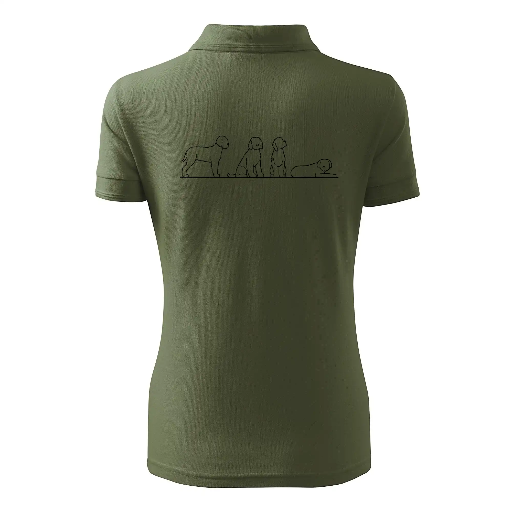 Lagotto romagnolo postavy linka