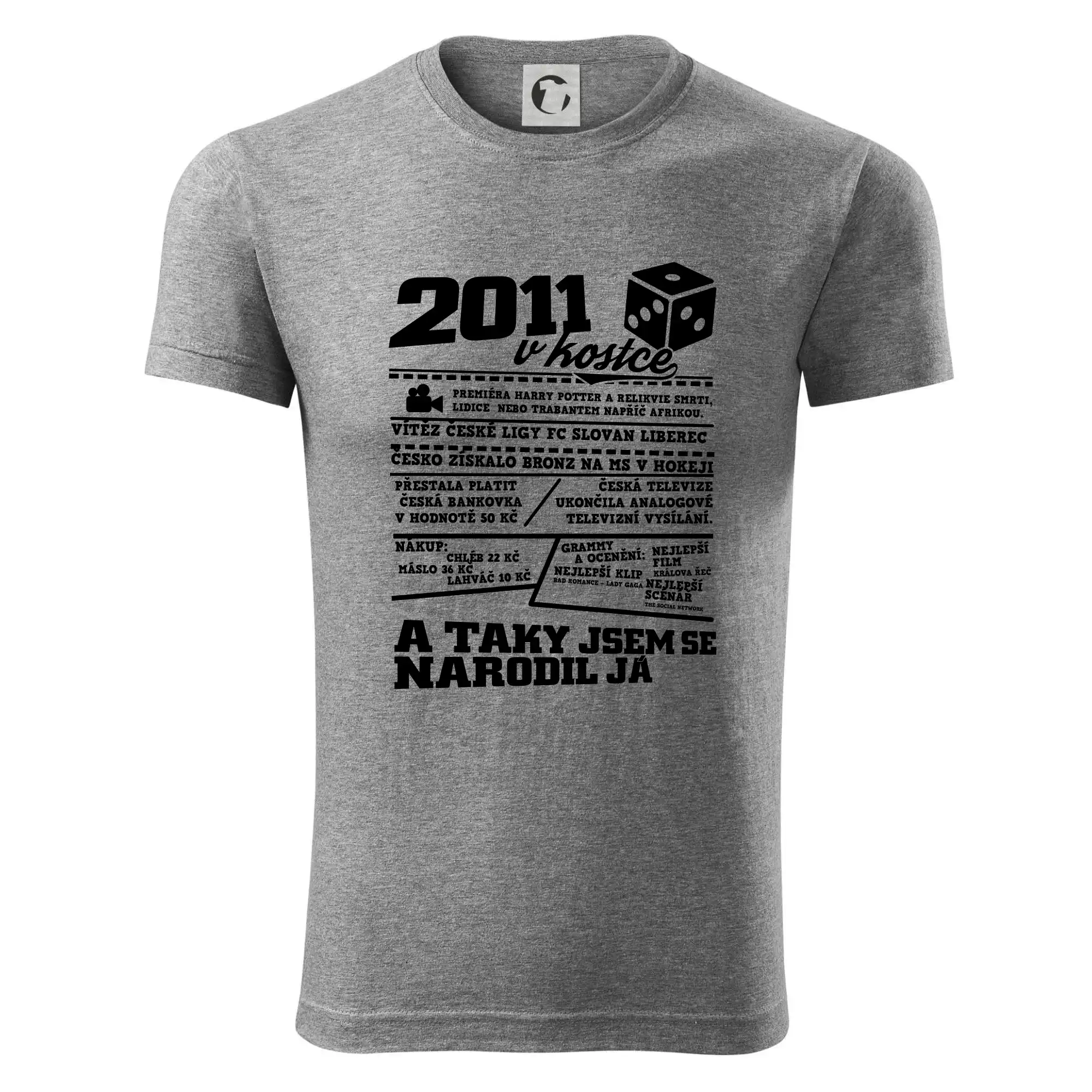 2011 v kostce