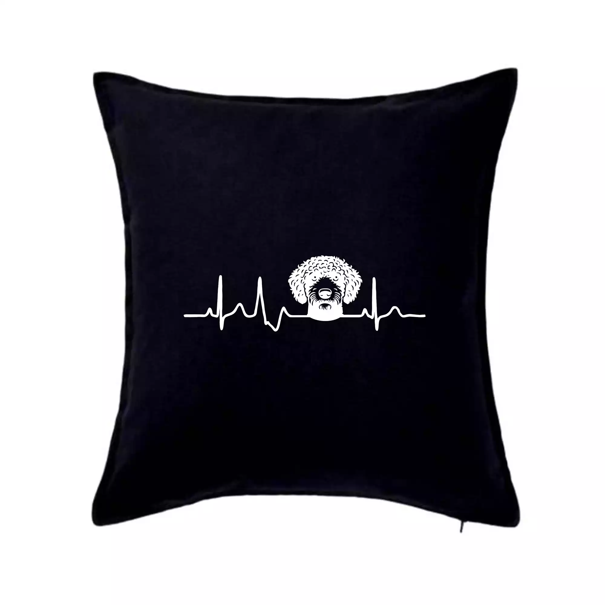 Lagotto romagnolo hlava EKG