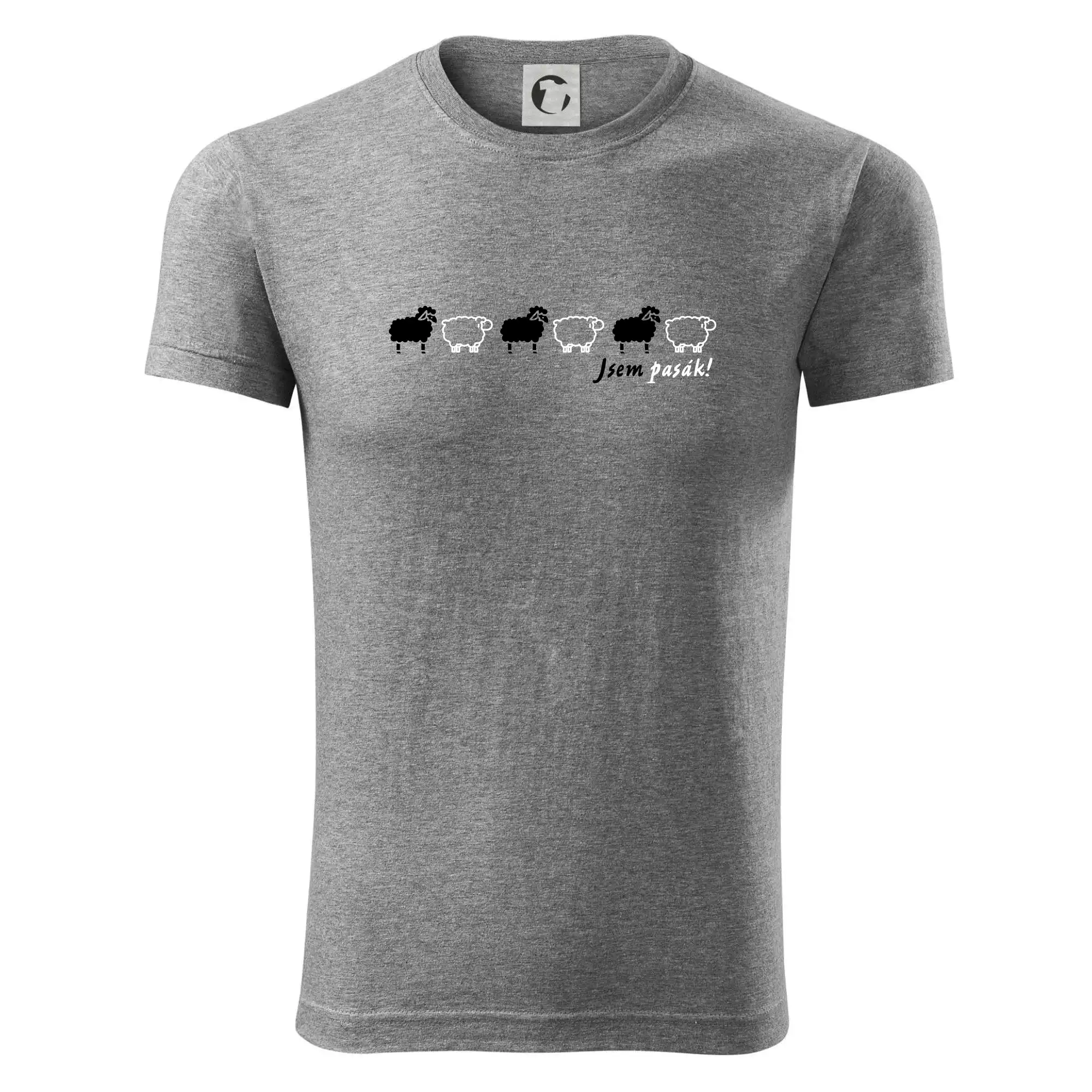 Jsem pasák - ovce v řadě