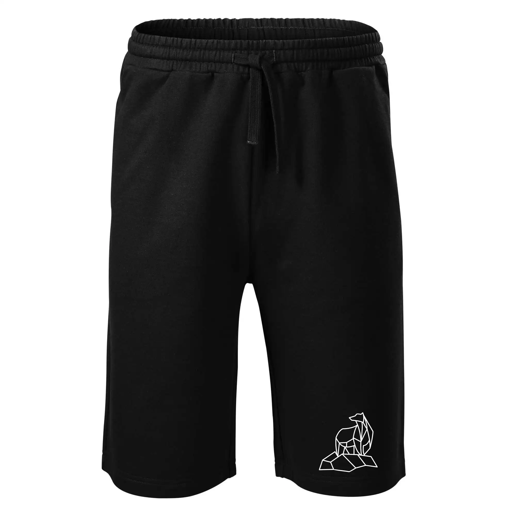 Geometrie lední medvěd na ledu