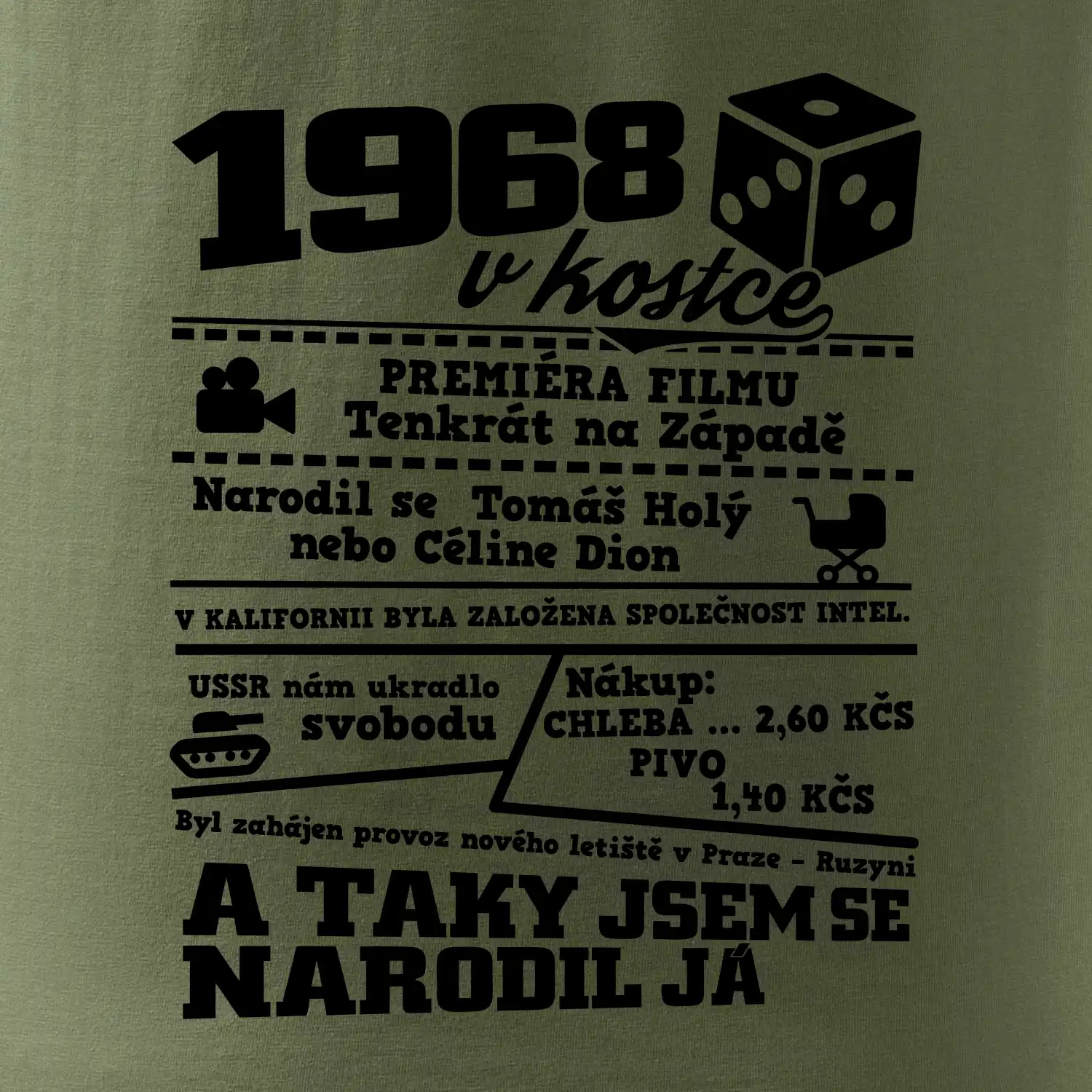 1968 v kostce
