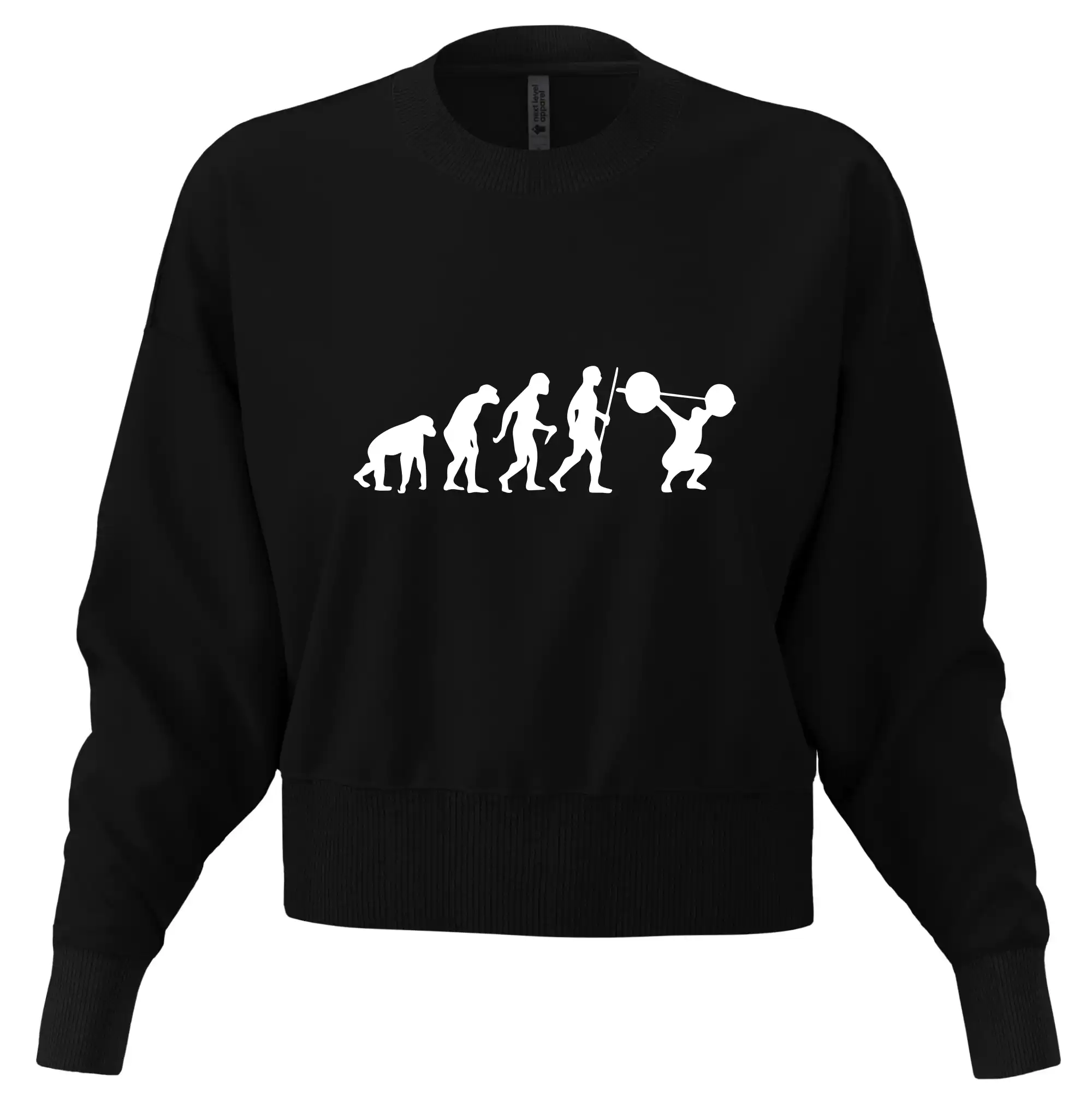 Evolution fitness