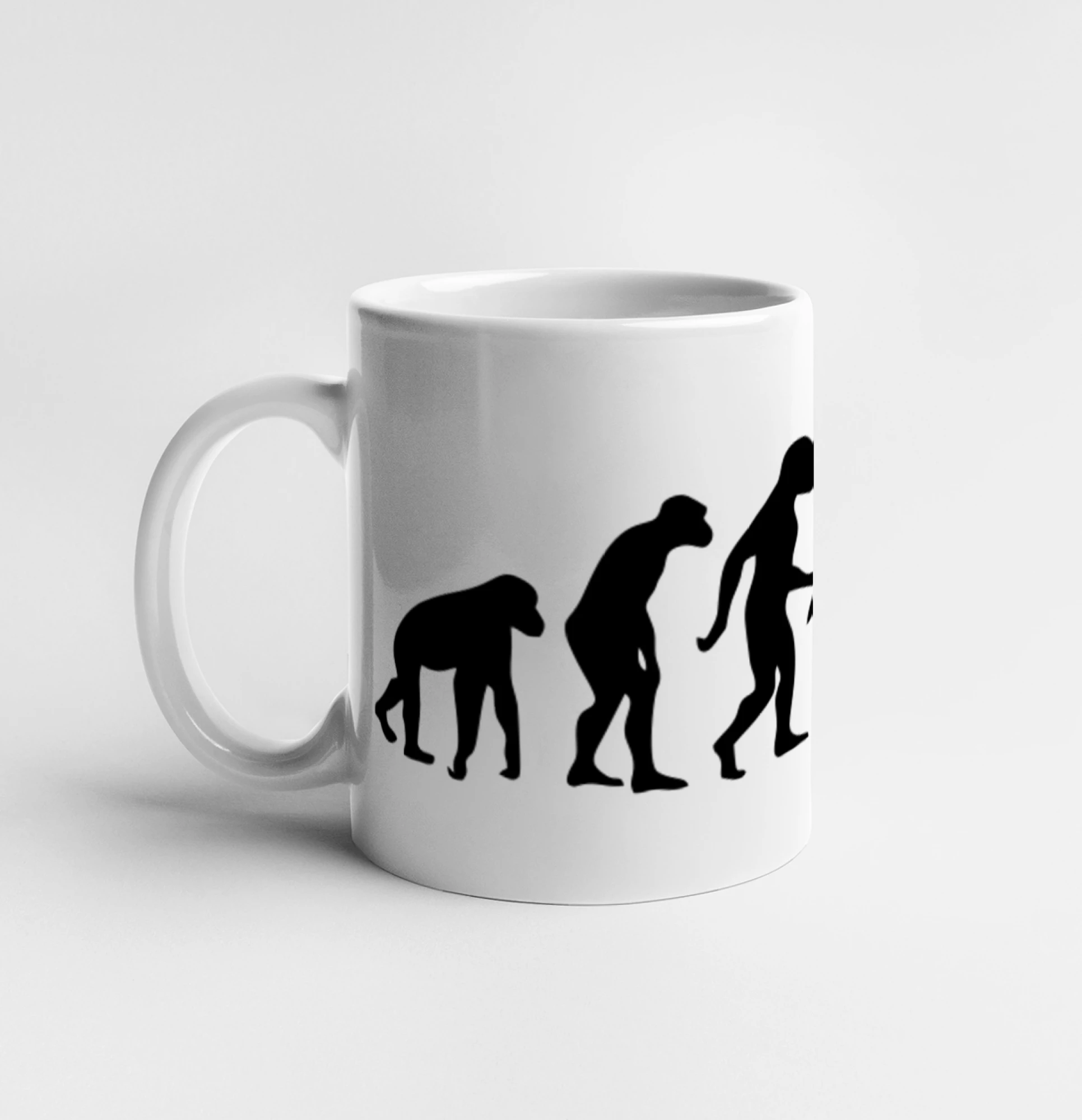Evolution fitness