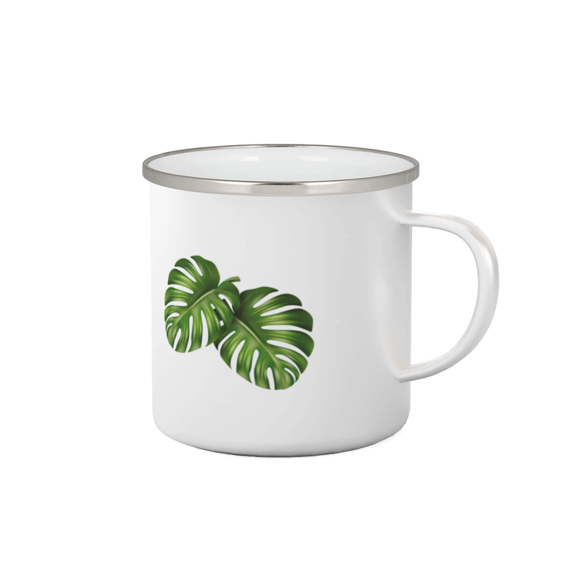 Monstera - dva listy