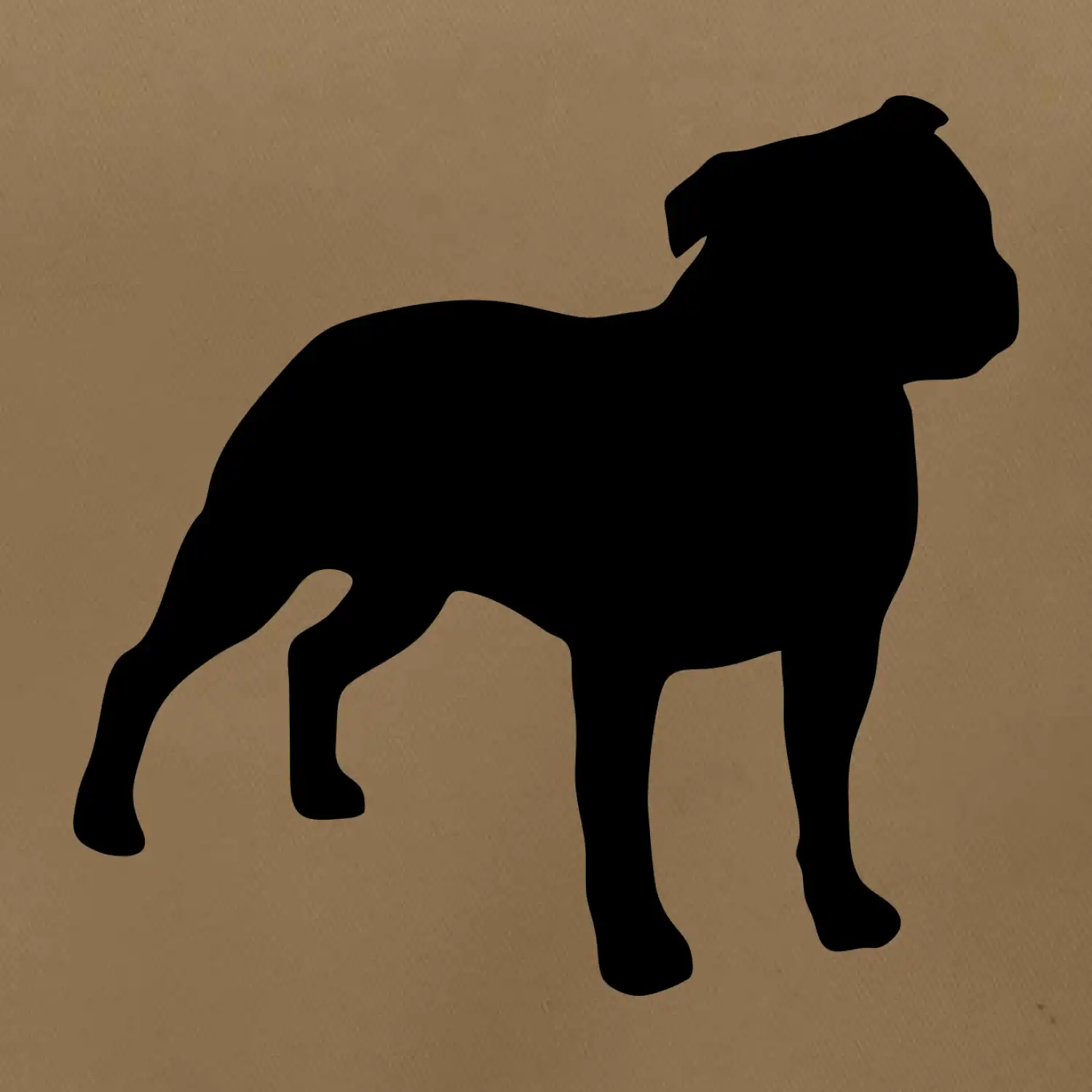 Americký stafordširský teriér  Na prsu