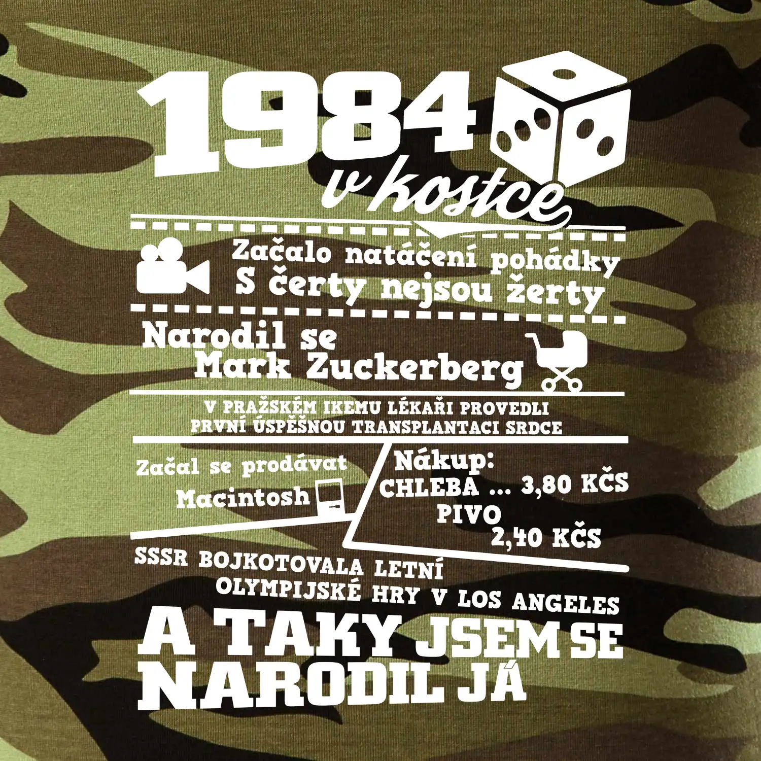 1984 v kostce